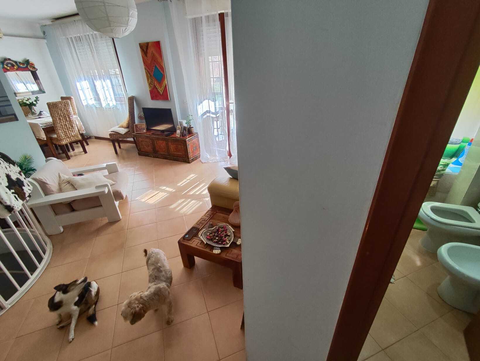 Foto annuncio 9