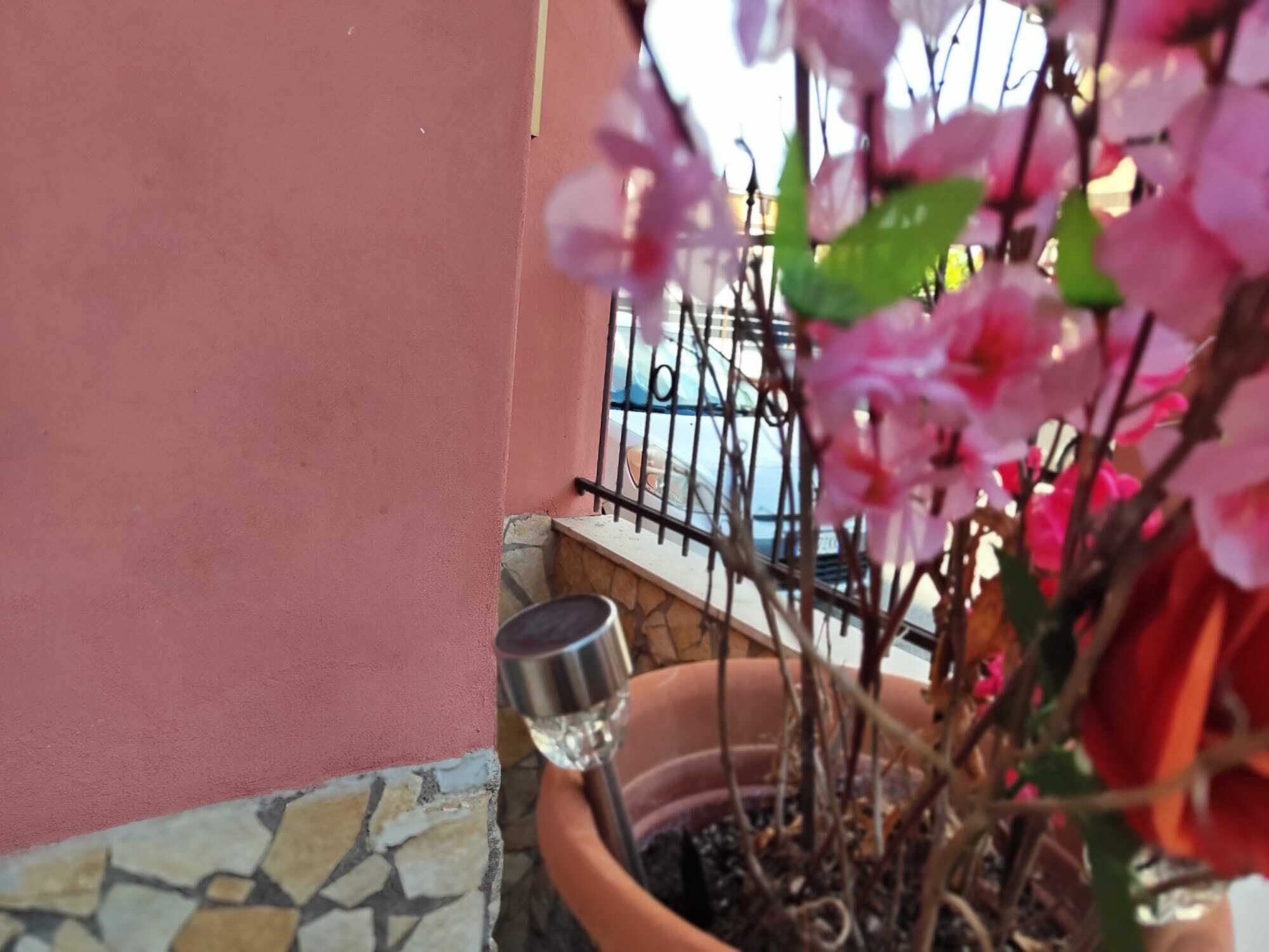 Foto annuncio 6