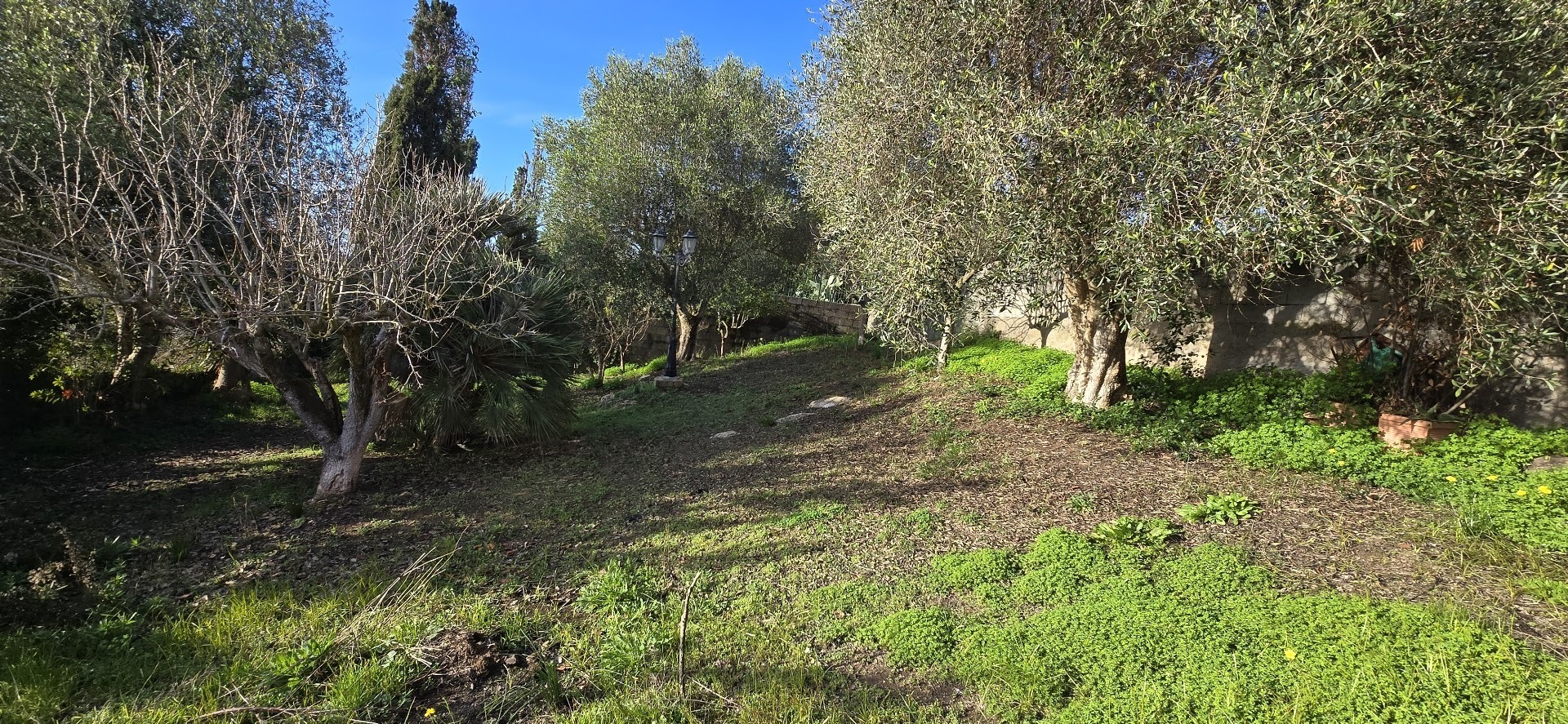 Foto annuncio 30