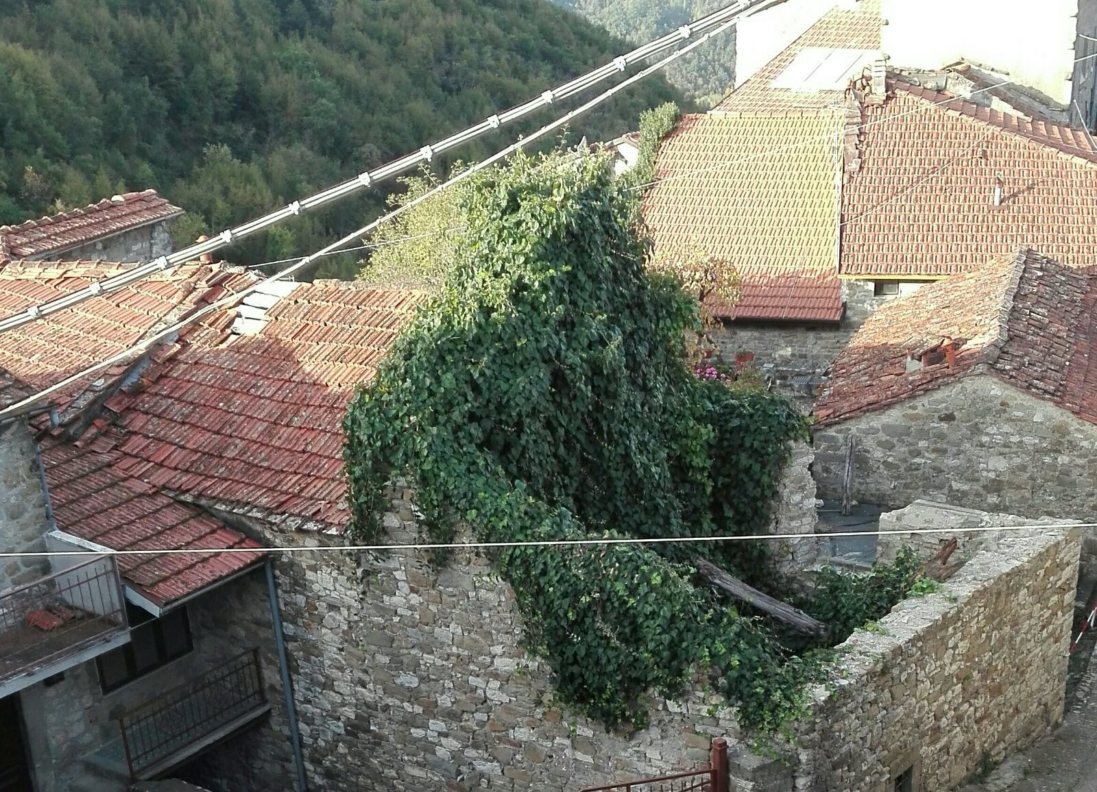 Foto annuncio 54