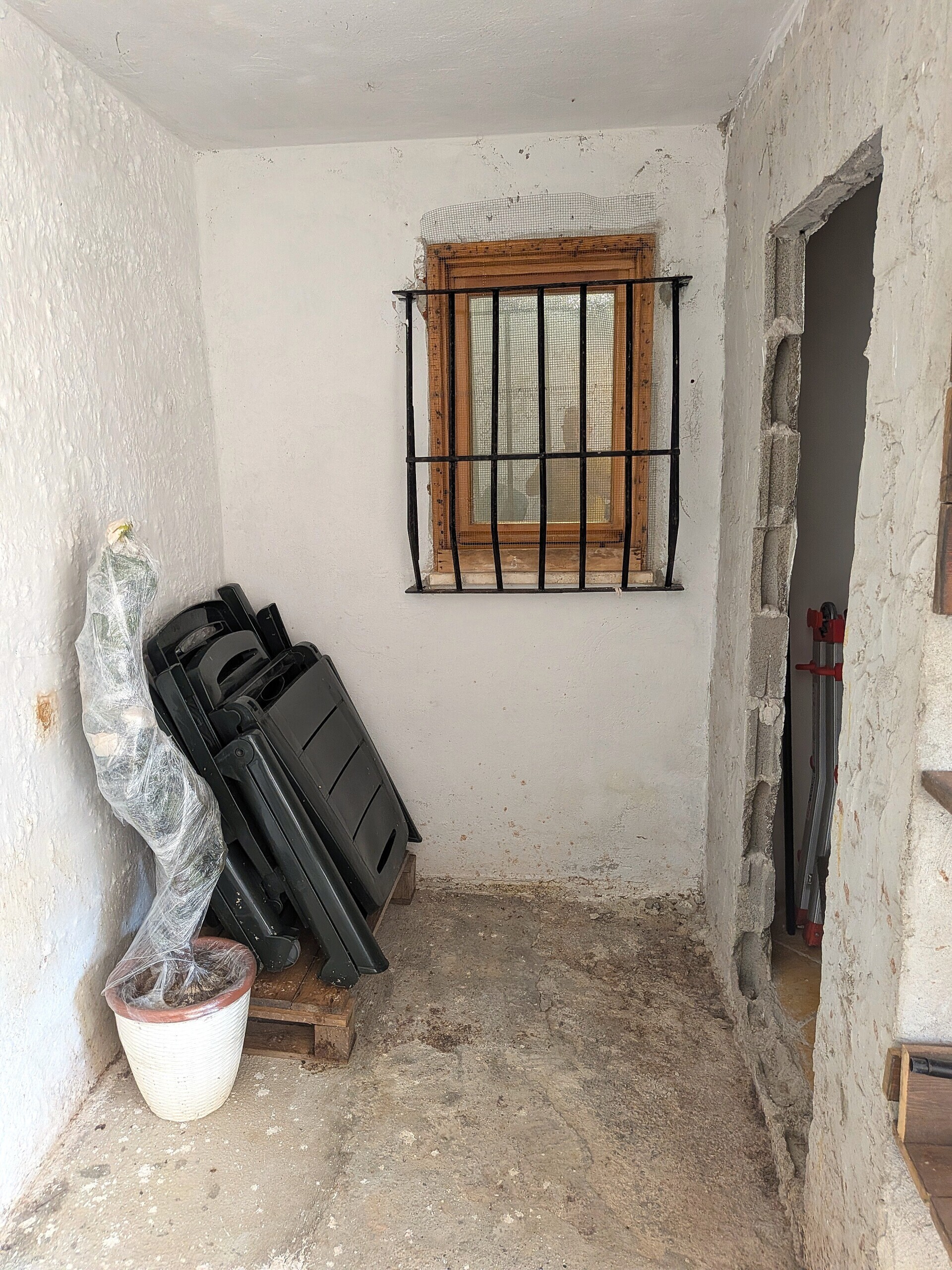 Foto annuncio 37