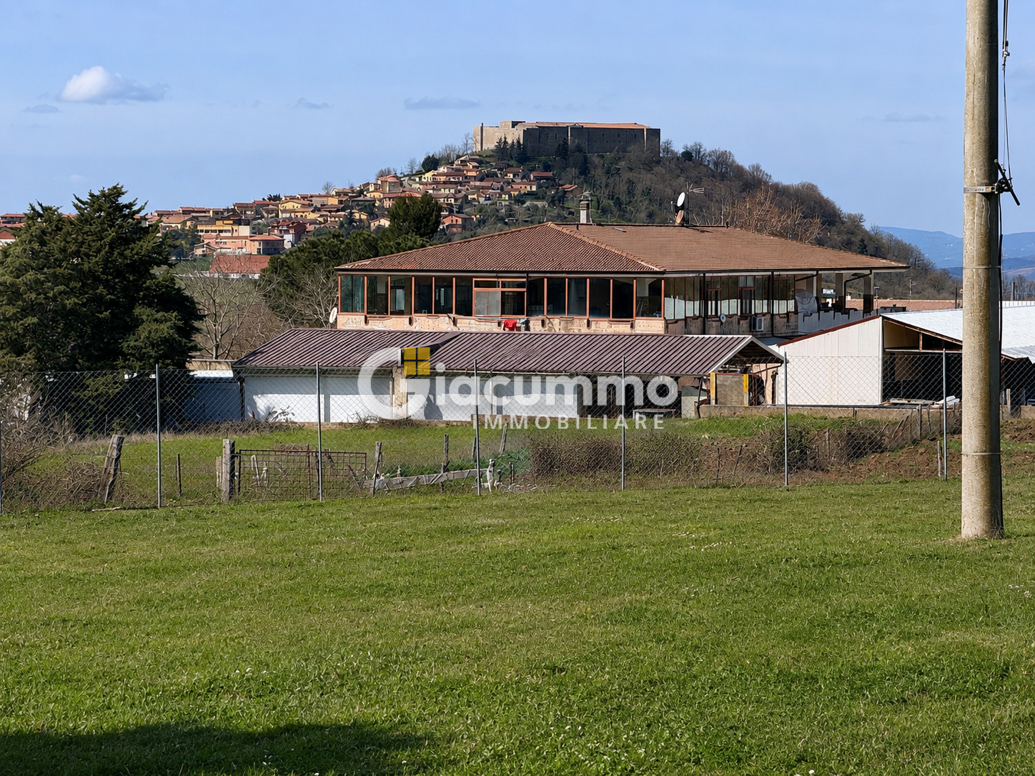 Foto annuncio 12