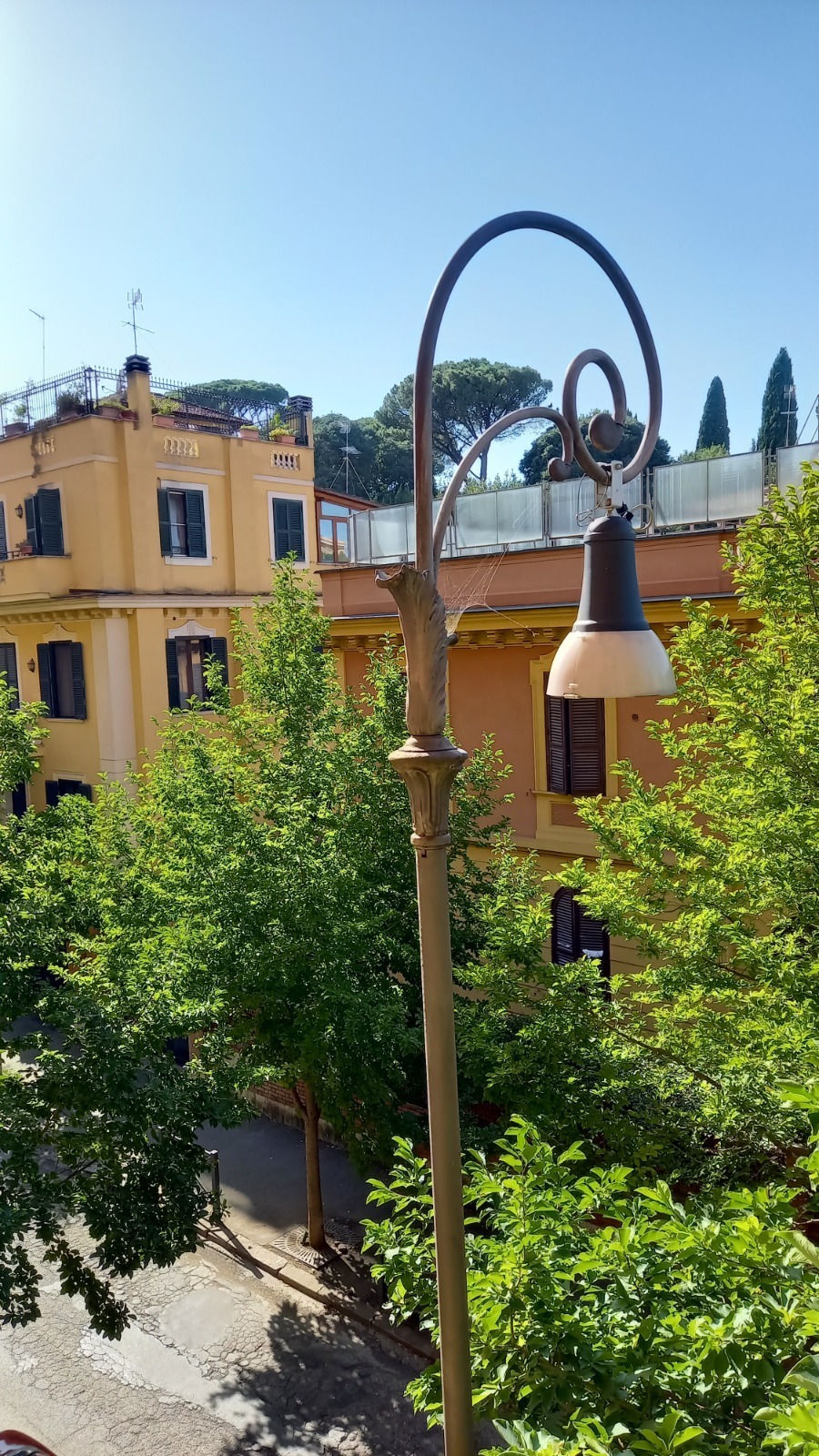 Foto annuncio 11