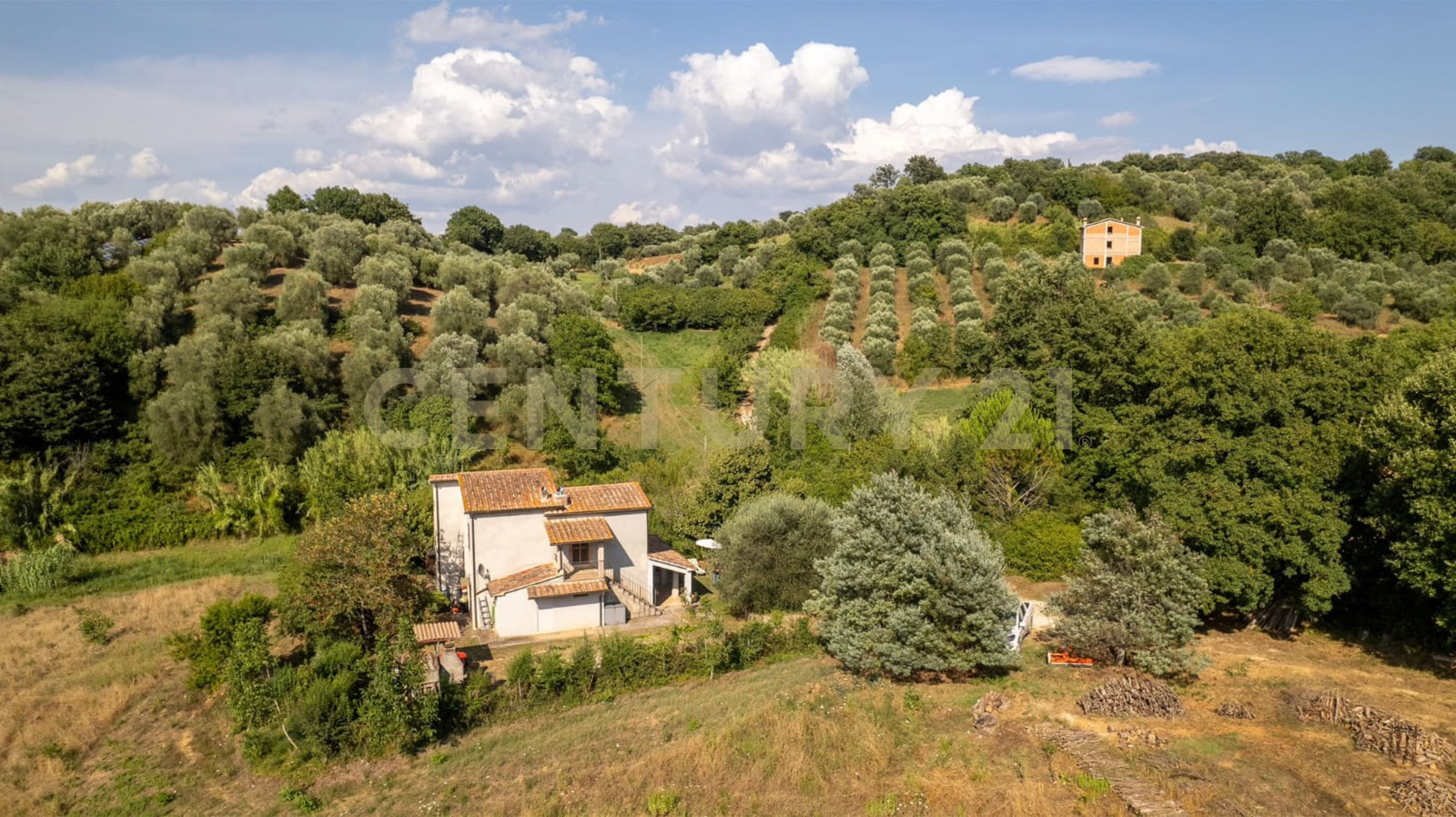 Immagine 26 di Villa in vendita  in localtà poderi di montemerano snc a Manciano
