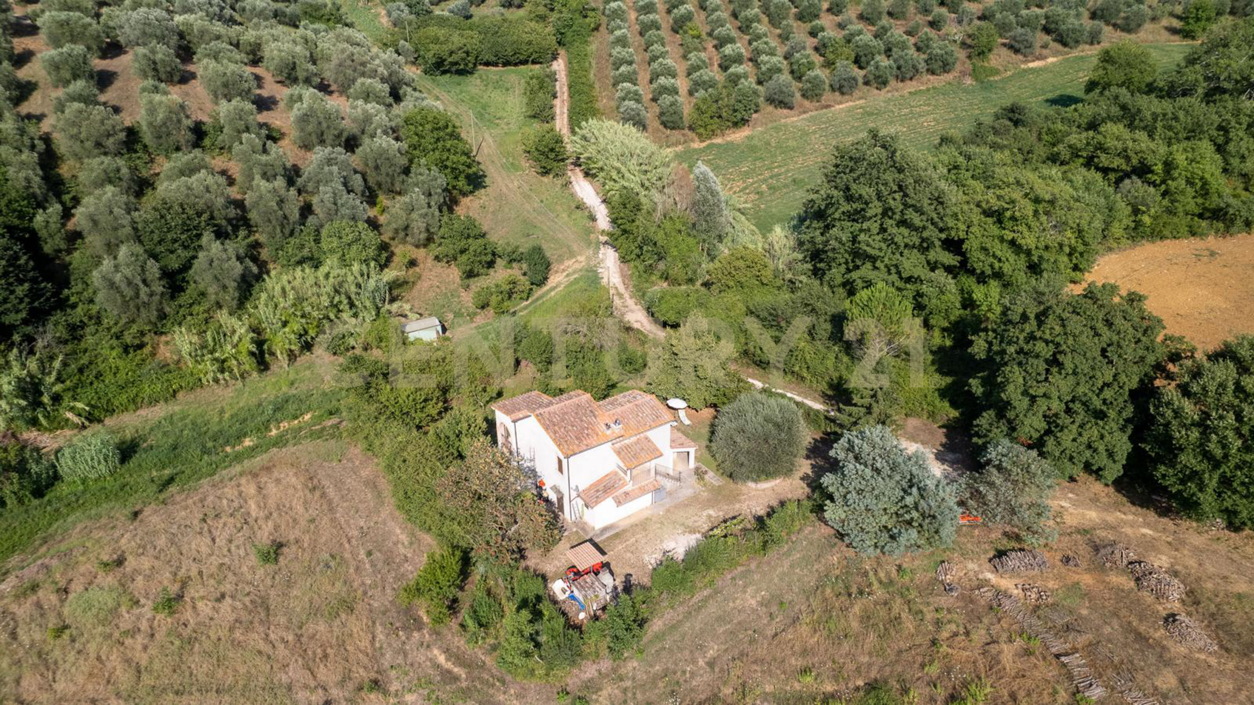 Immagine 24 di Villa in vendita  in localtà poderi di montemerano snc a Manciano