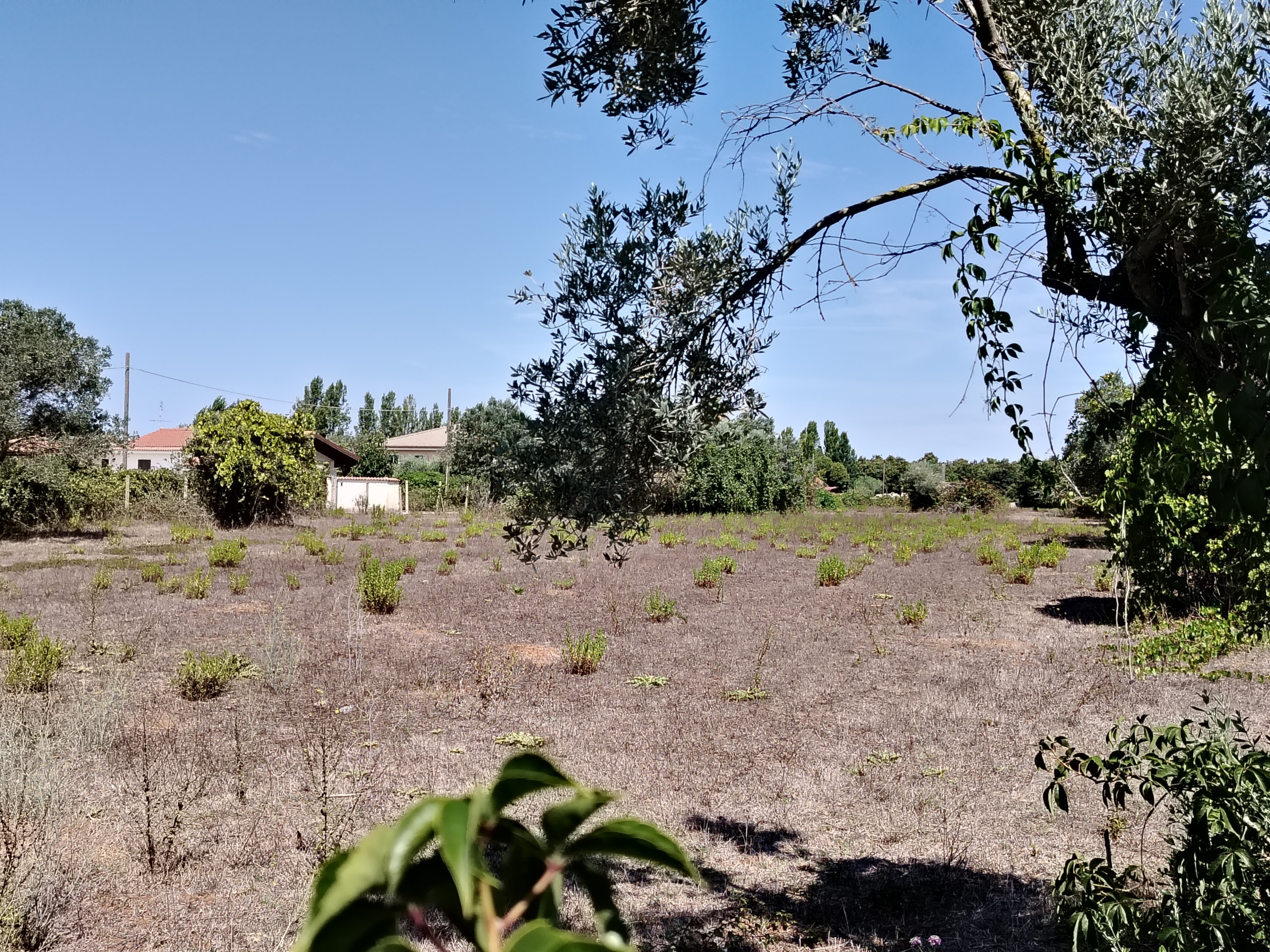 Foto annuncio 6