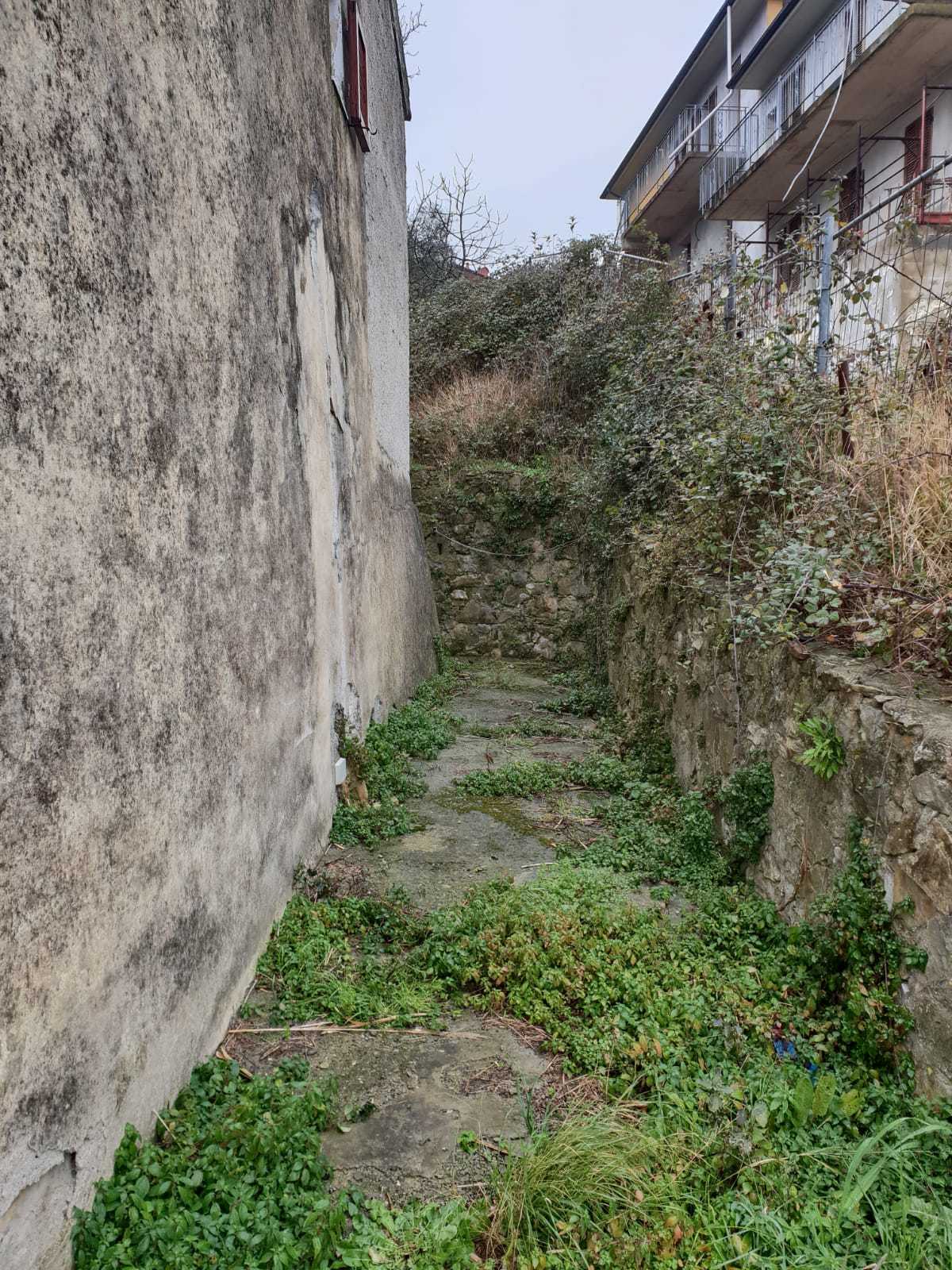 Immagine 10 di Terratetto in vendita  a Livorno