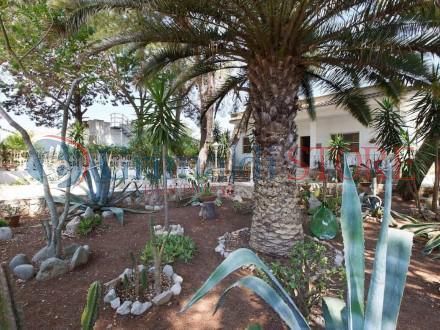 Immagine 12 di Villa in vendita  a Manduria