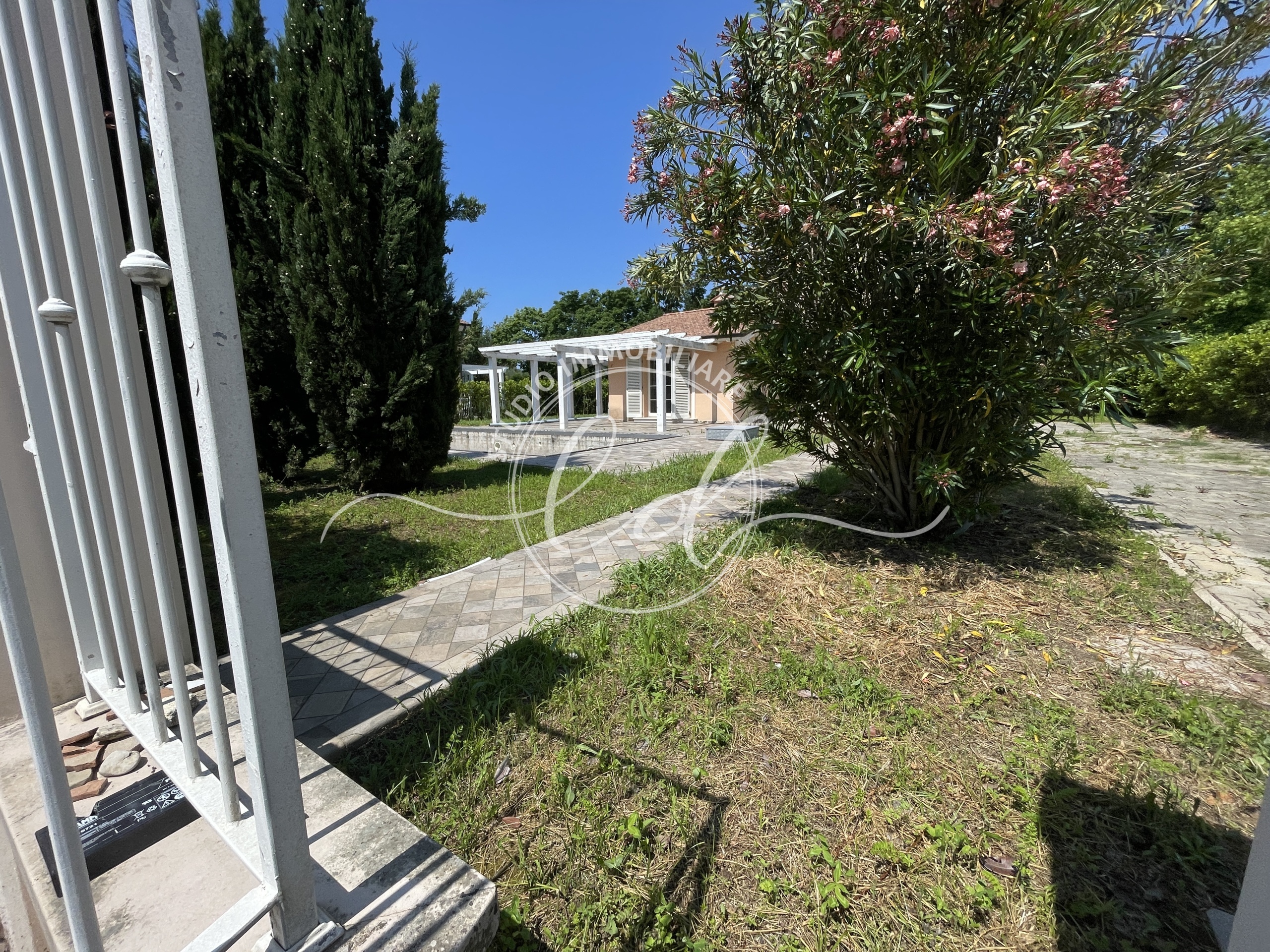 Immagine 4 di Villa in vendita  a Pietrasanta
