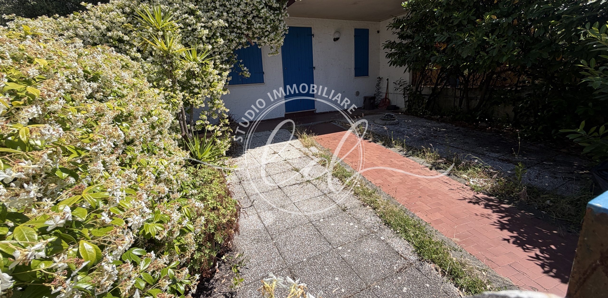 Foto annuncio 1