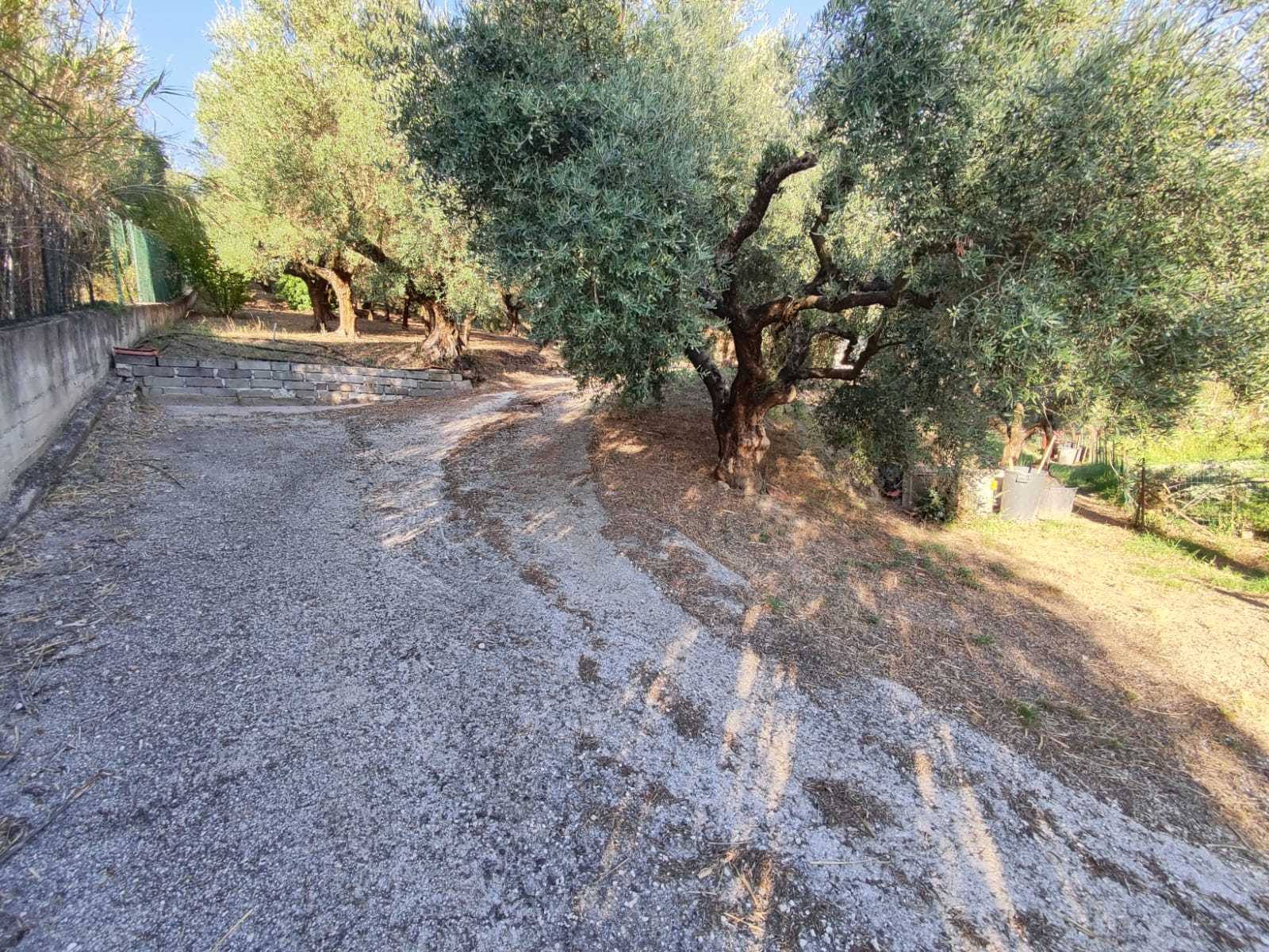 Immagine 2 di Terreno agricolo in vendita  in via caolini a Marcellina