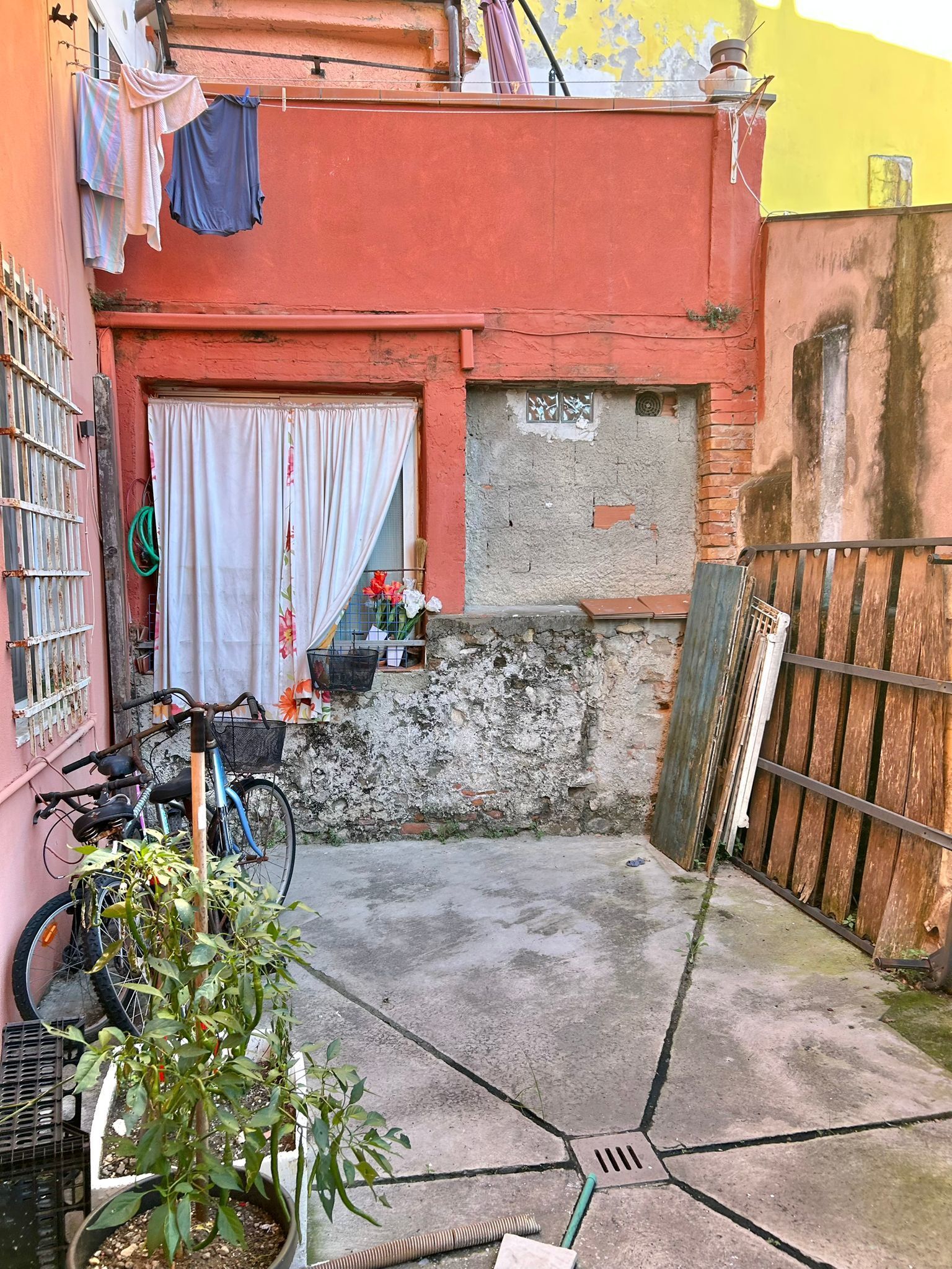 Foto annuncio 8