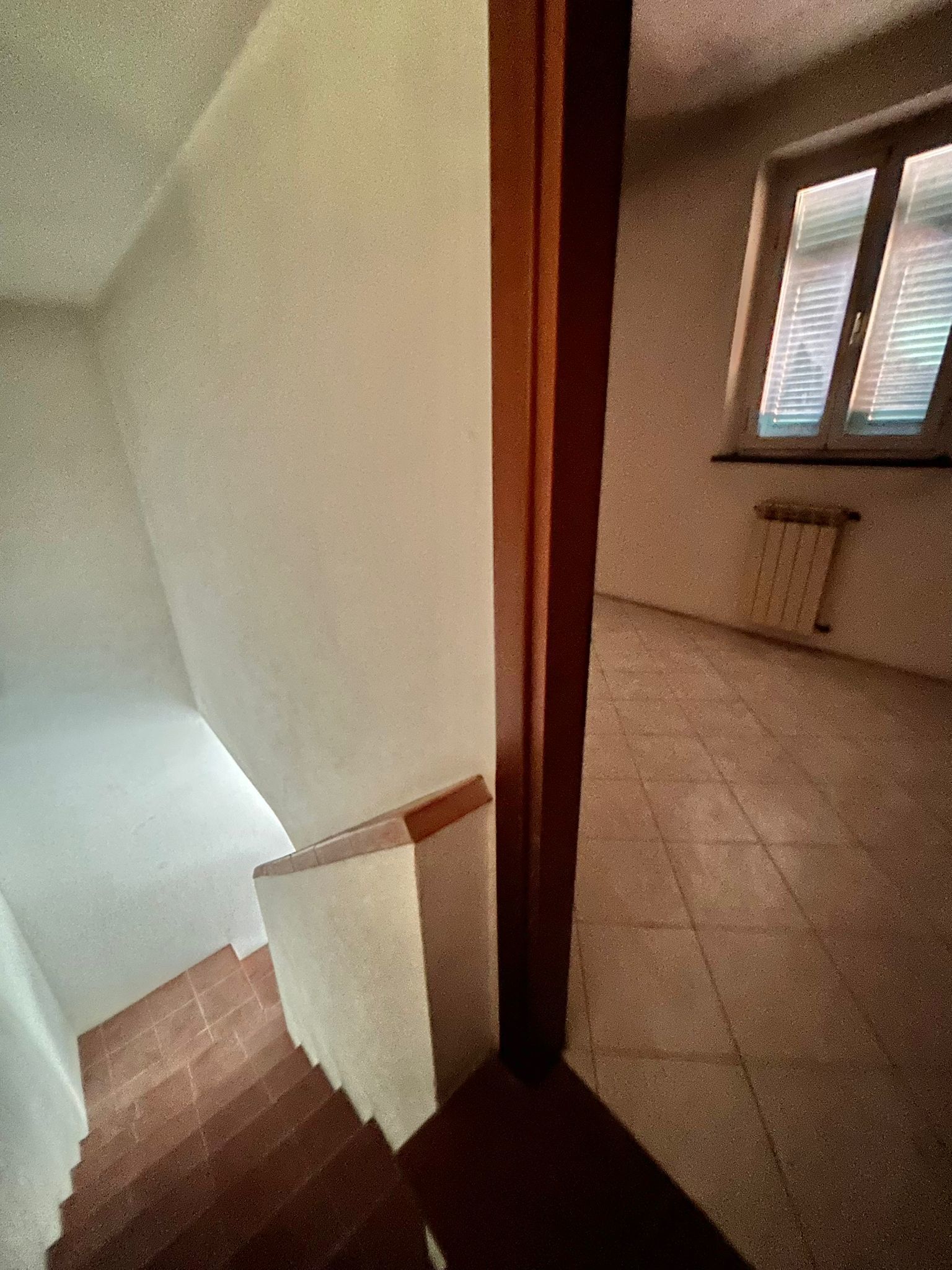 Foto annuncio 18