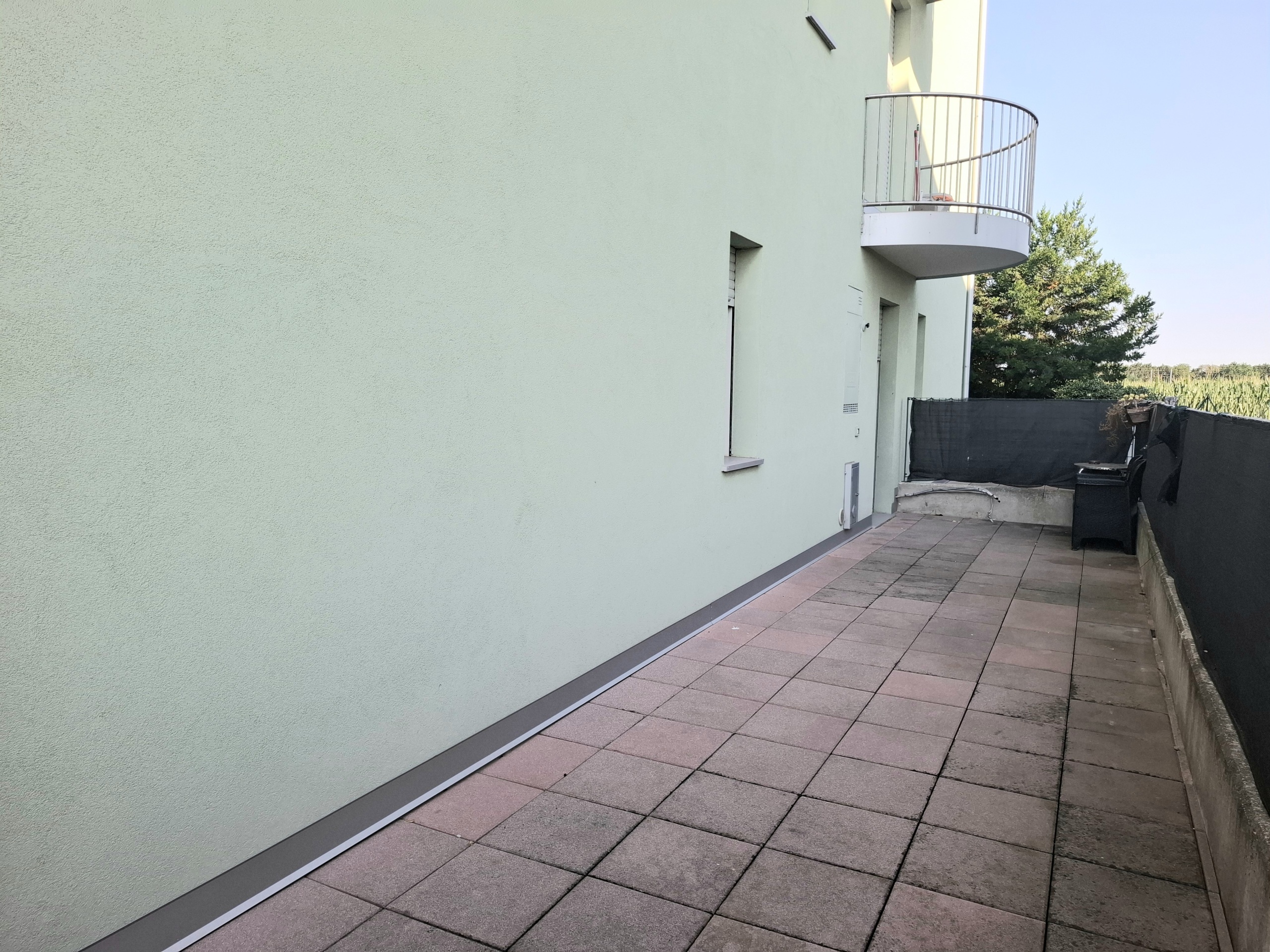 Foto annuncio 5