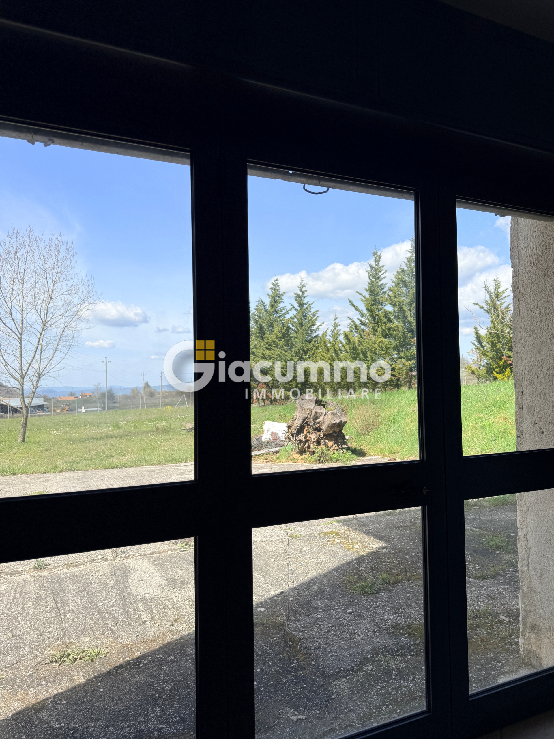 Foto annuncio 30