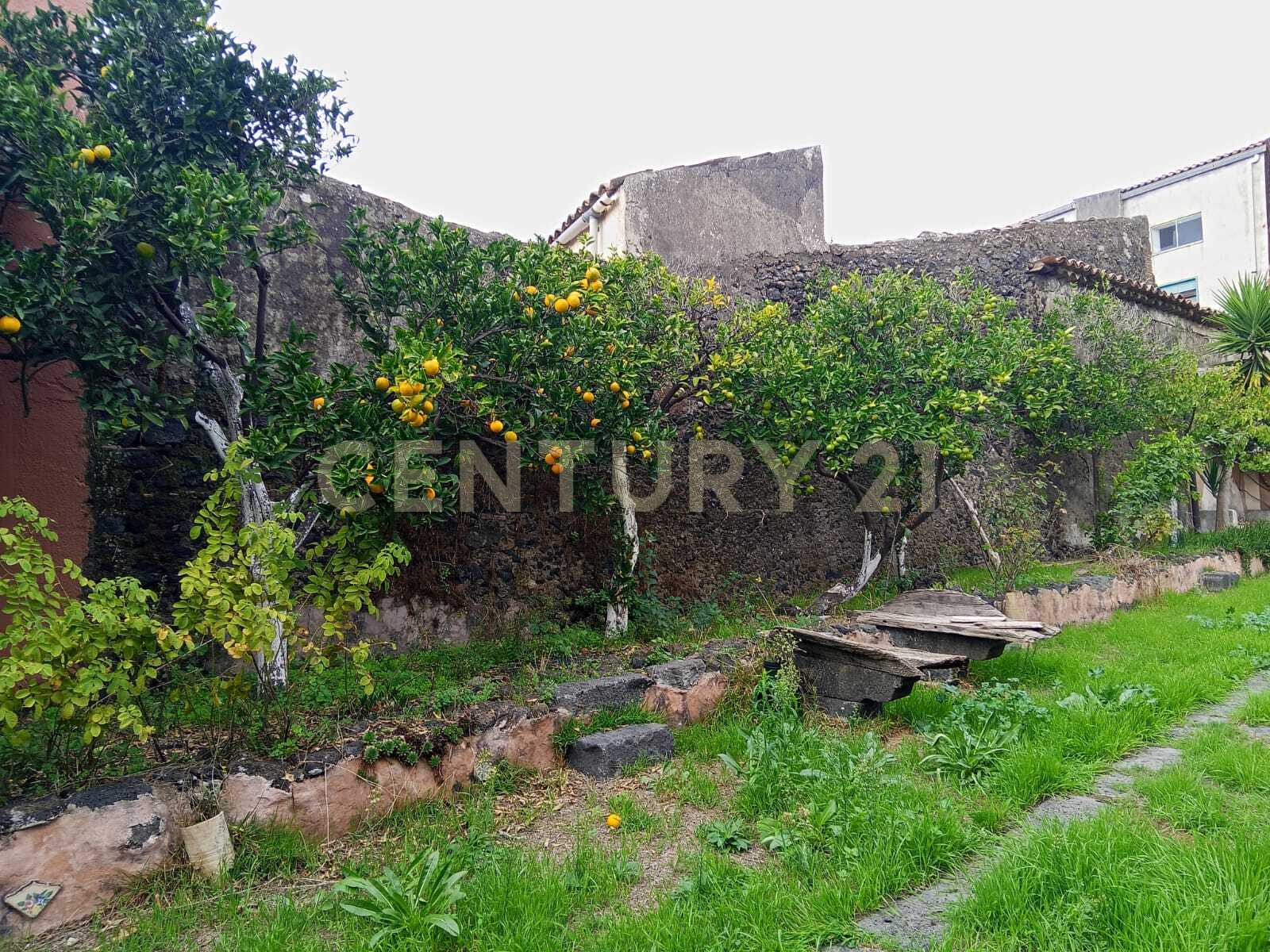 Immagine 78 di Villa in vendita  in Via Calvario 43 a Mascalucia