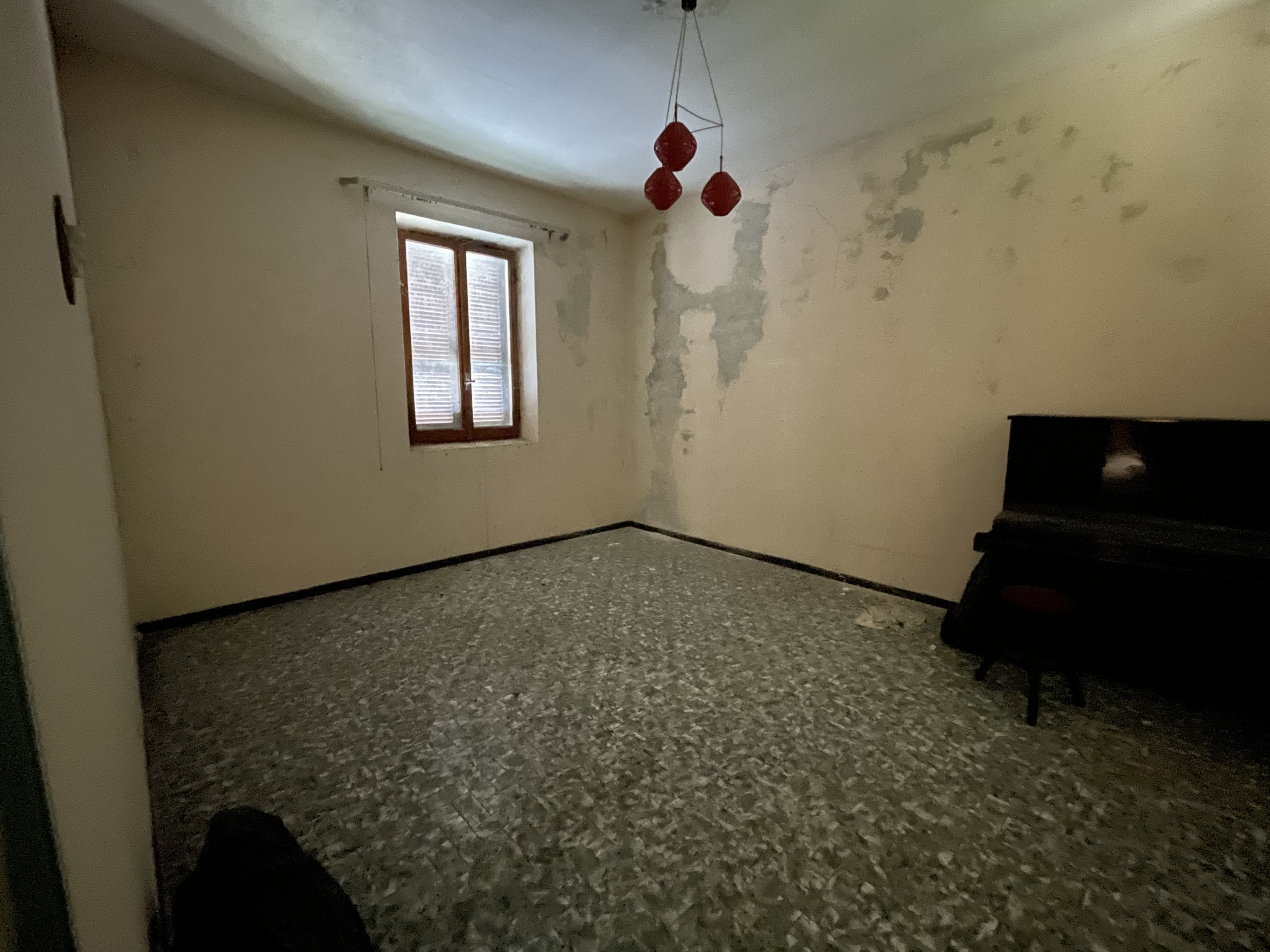 Foto annuncio 26