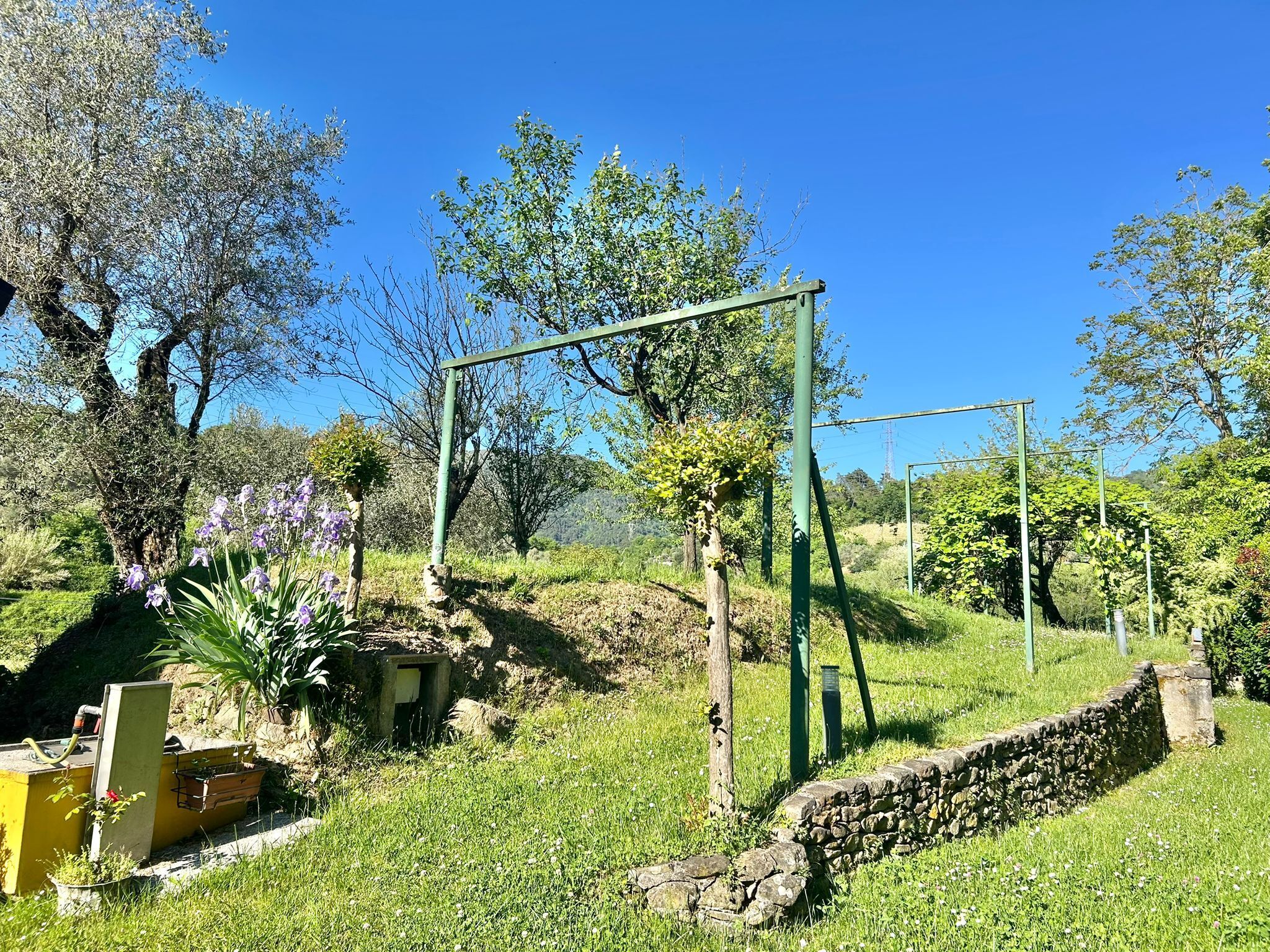 Foto annuncio 4