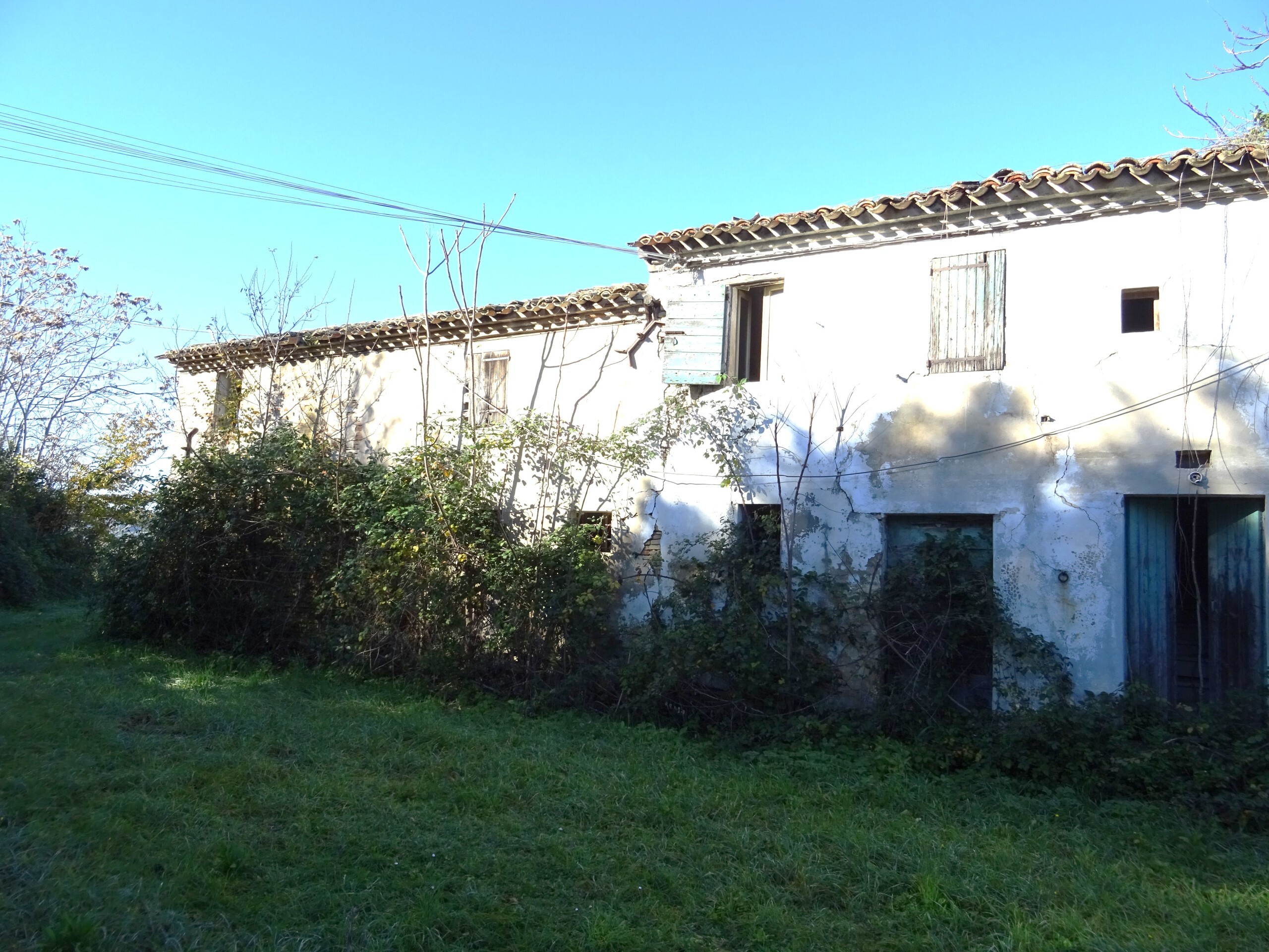 Foto annuncio 7