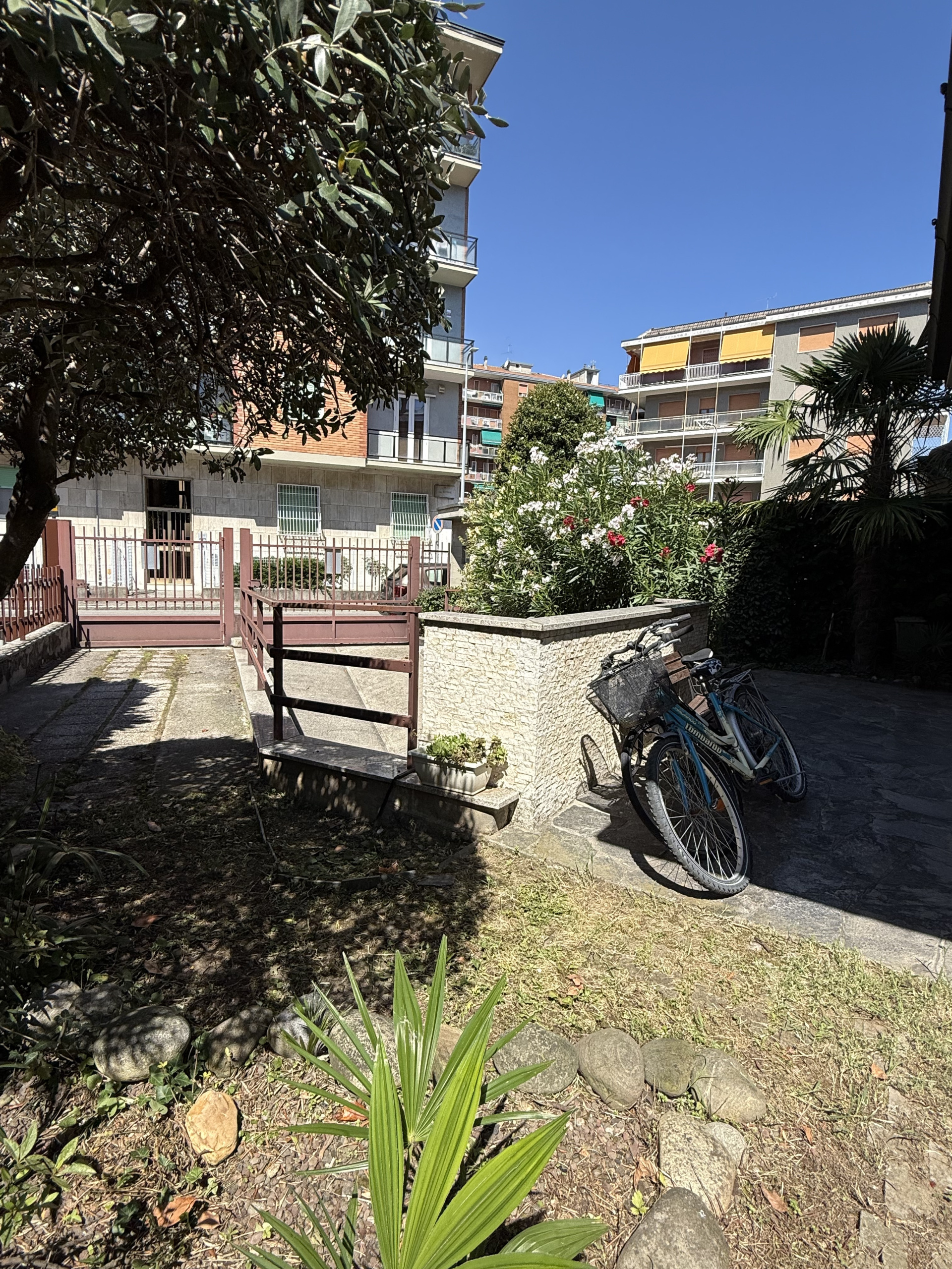 Foto annuncio 13