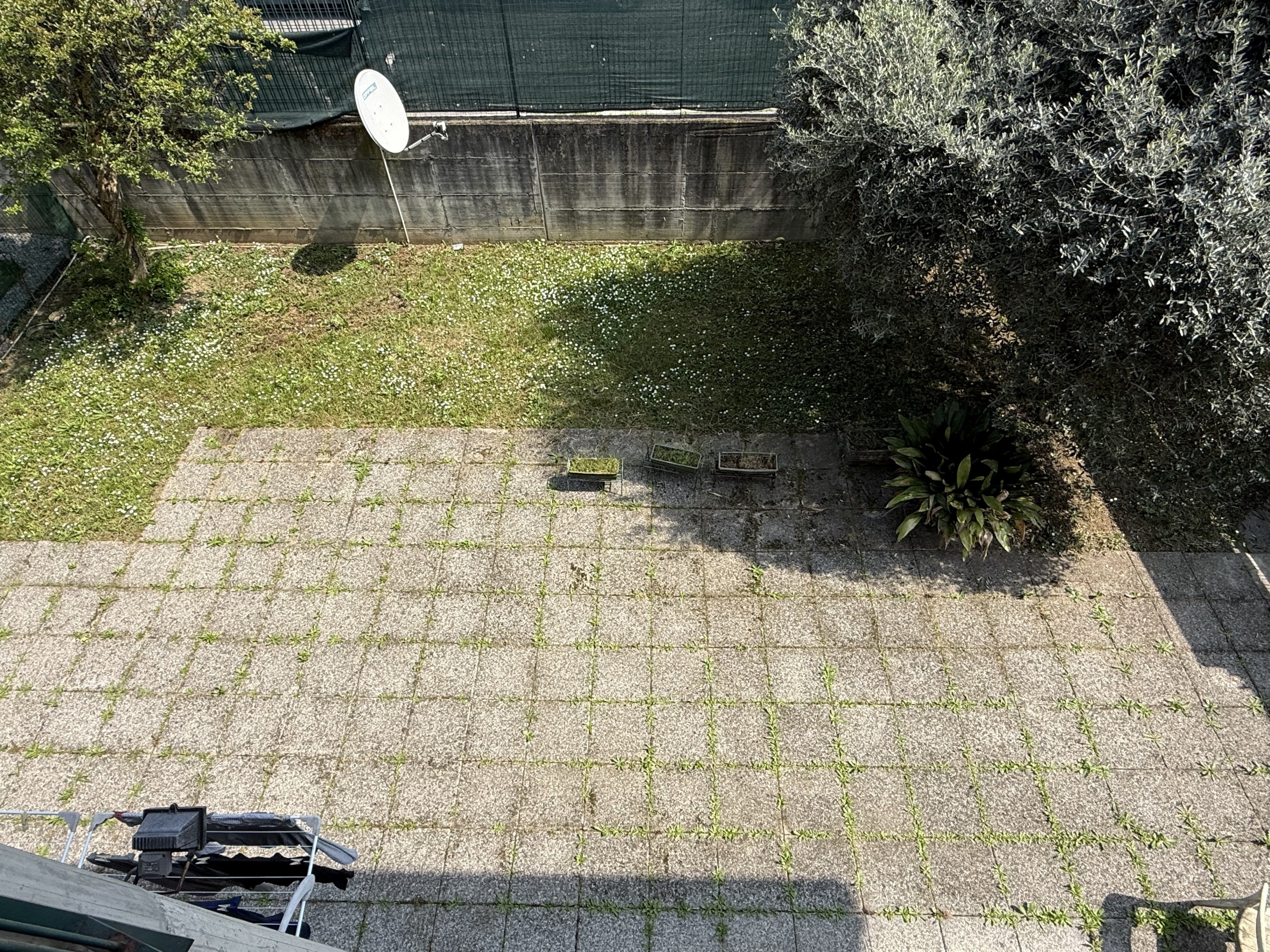 Foto annuncio 25
