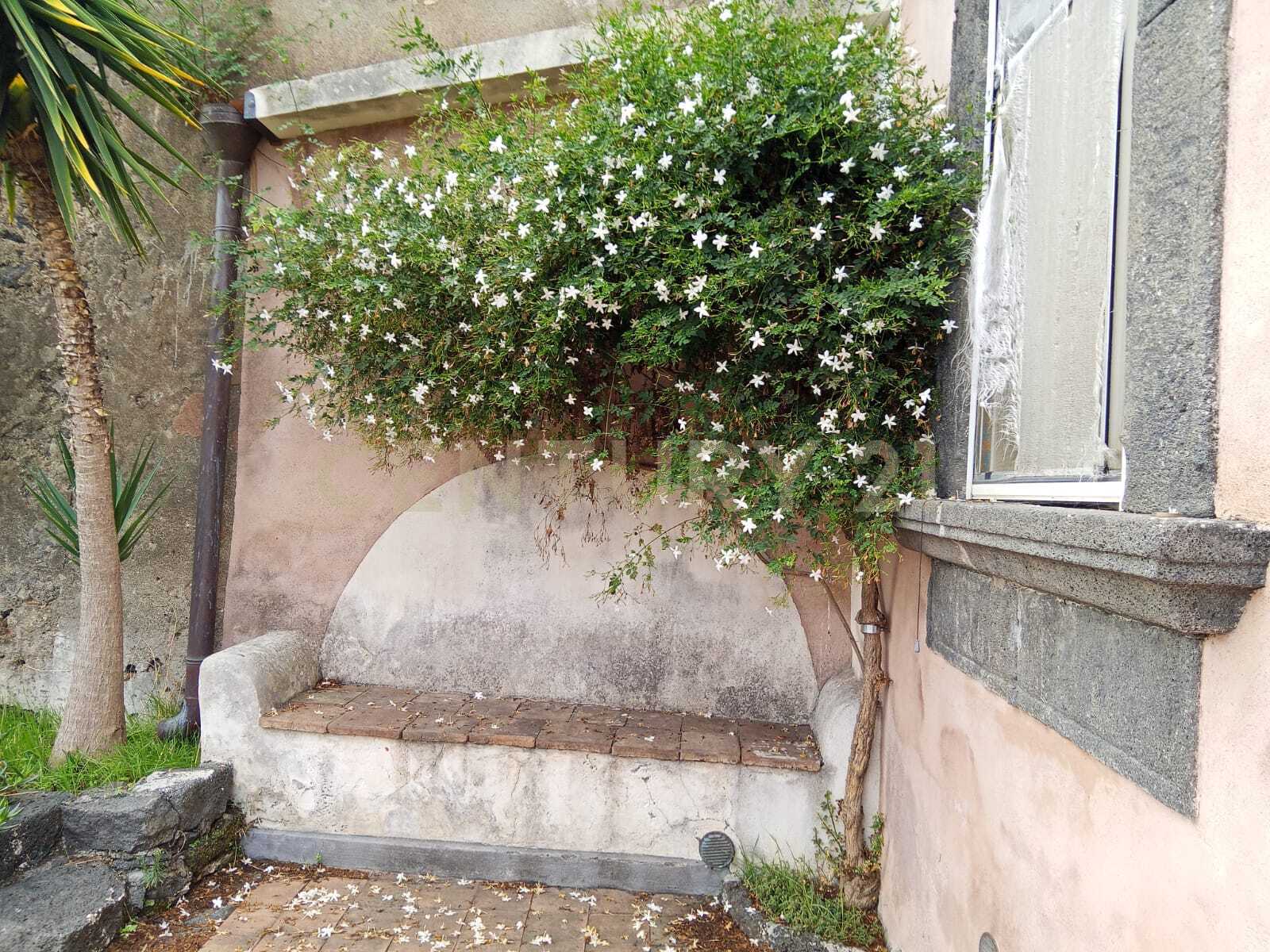 Immagine 80 di Villa in vendita  in Via Calvario 43 a Mascalucia