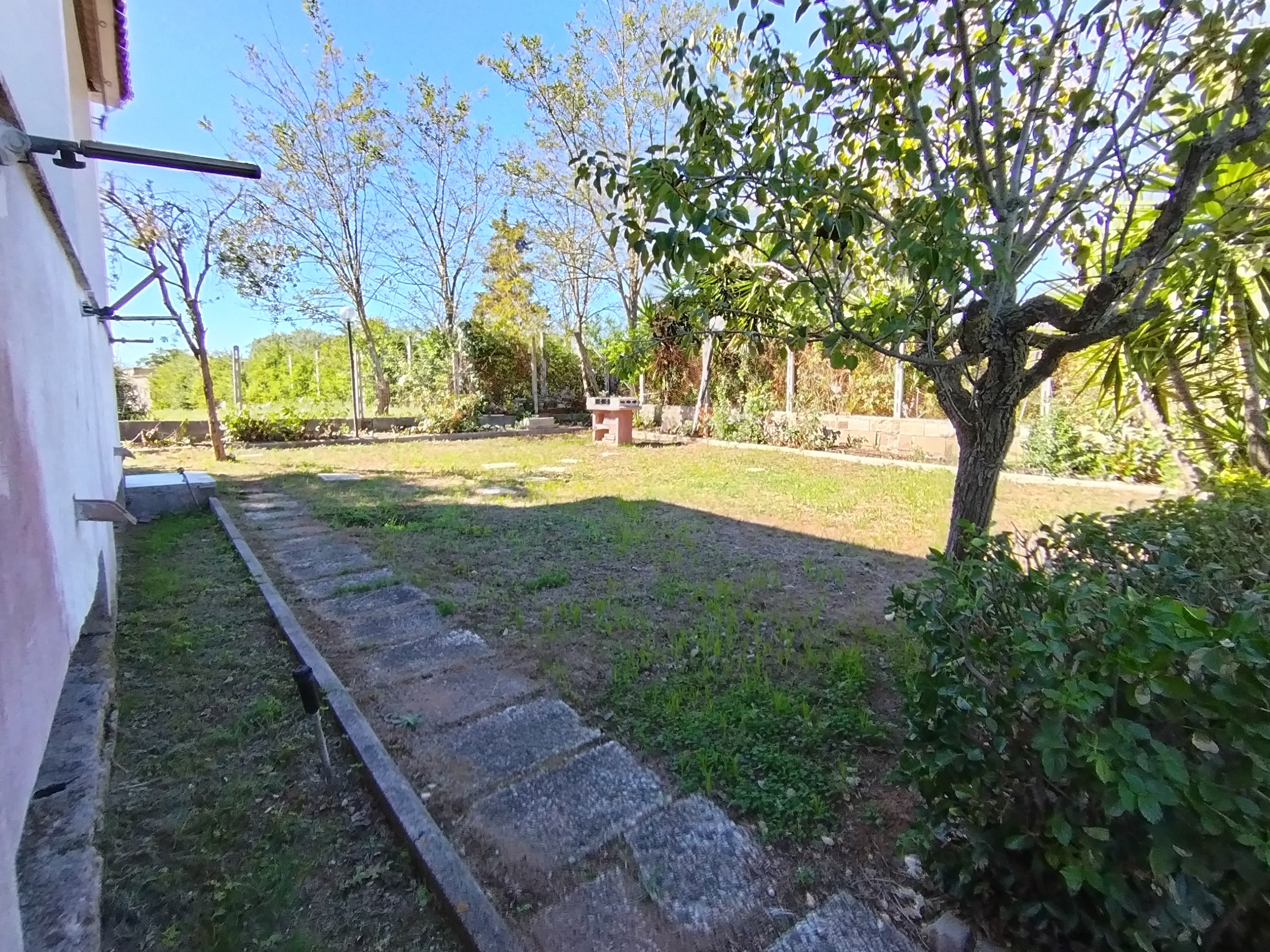 Foto annuncio 15