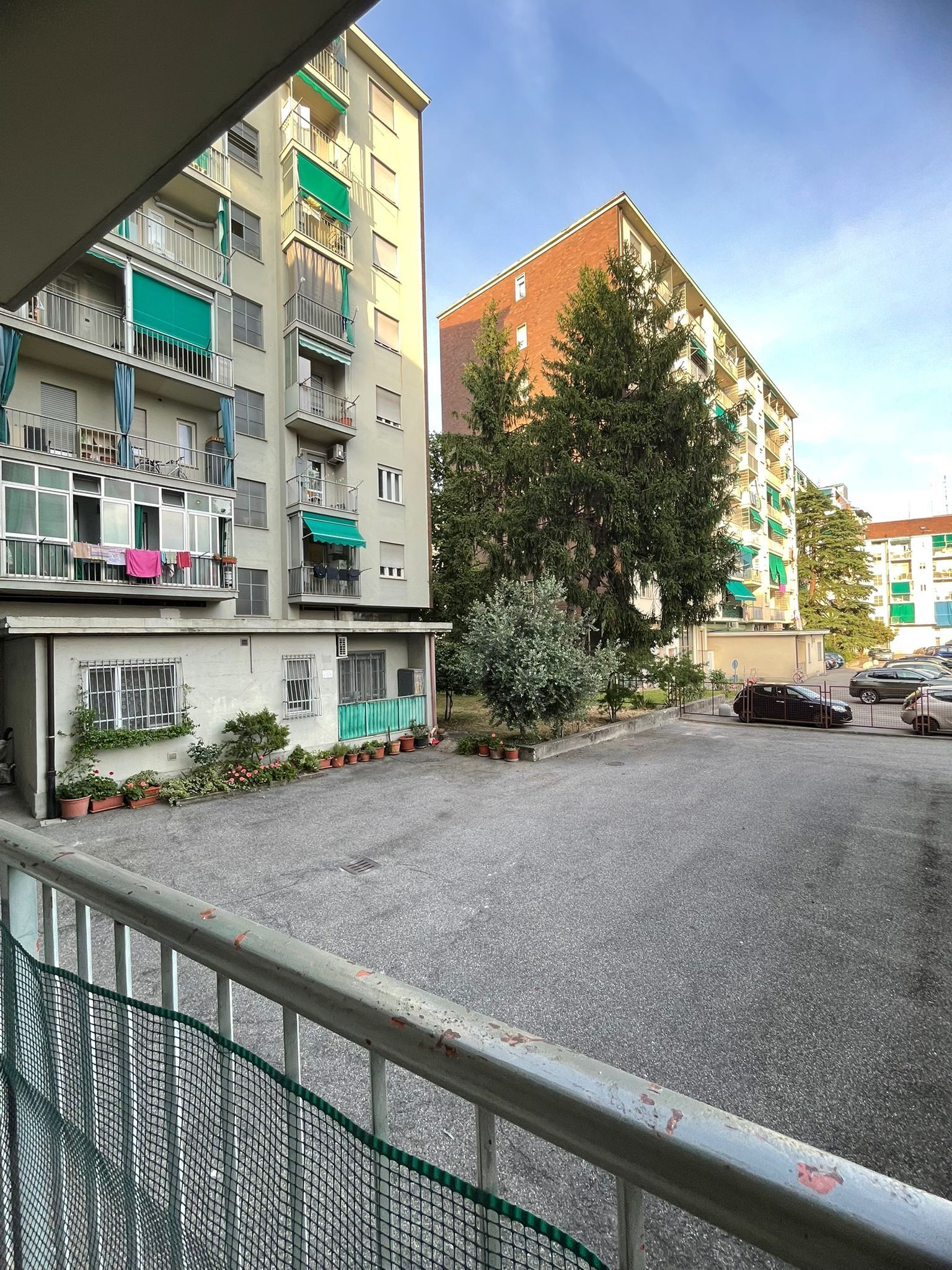 Foto annuncio 3