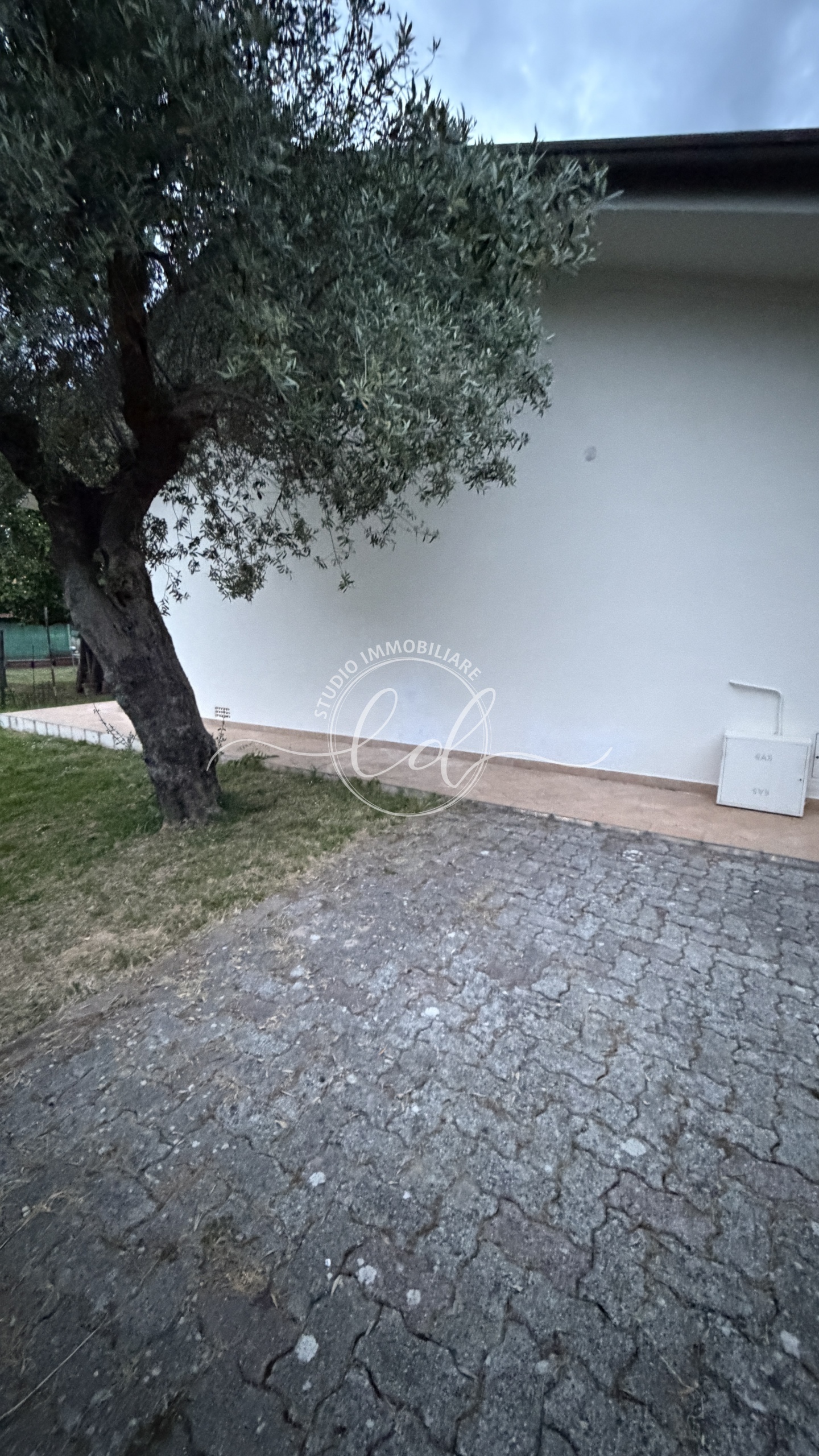 Foto annuncio 2