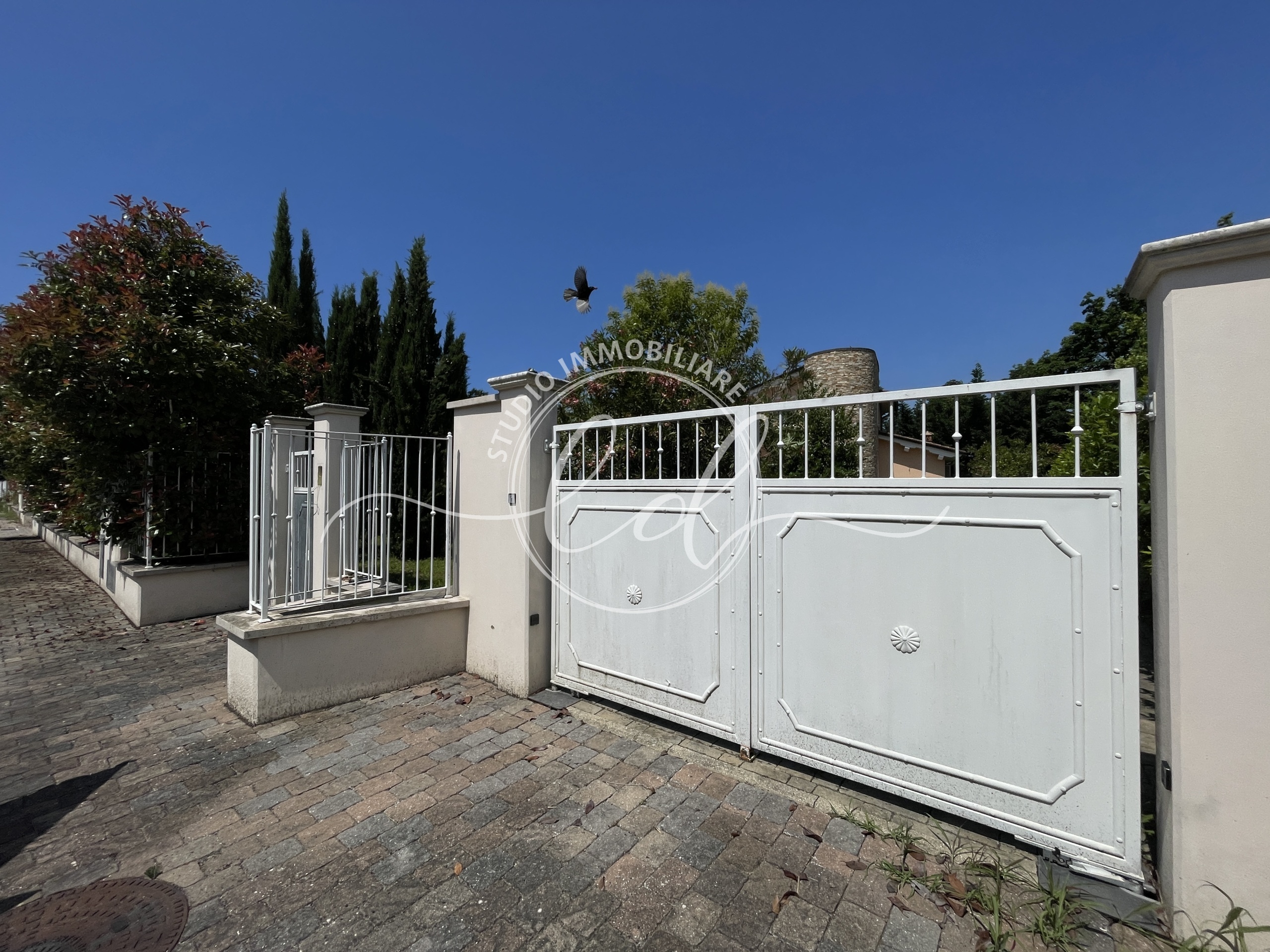 Immagine 2 di Villa in vendita  a Pietrasanta