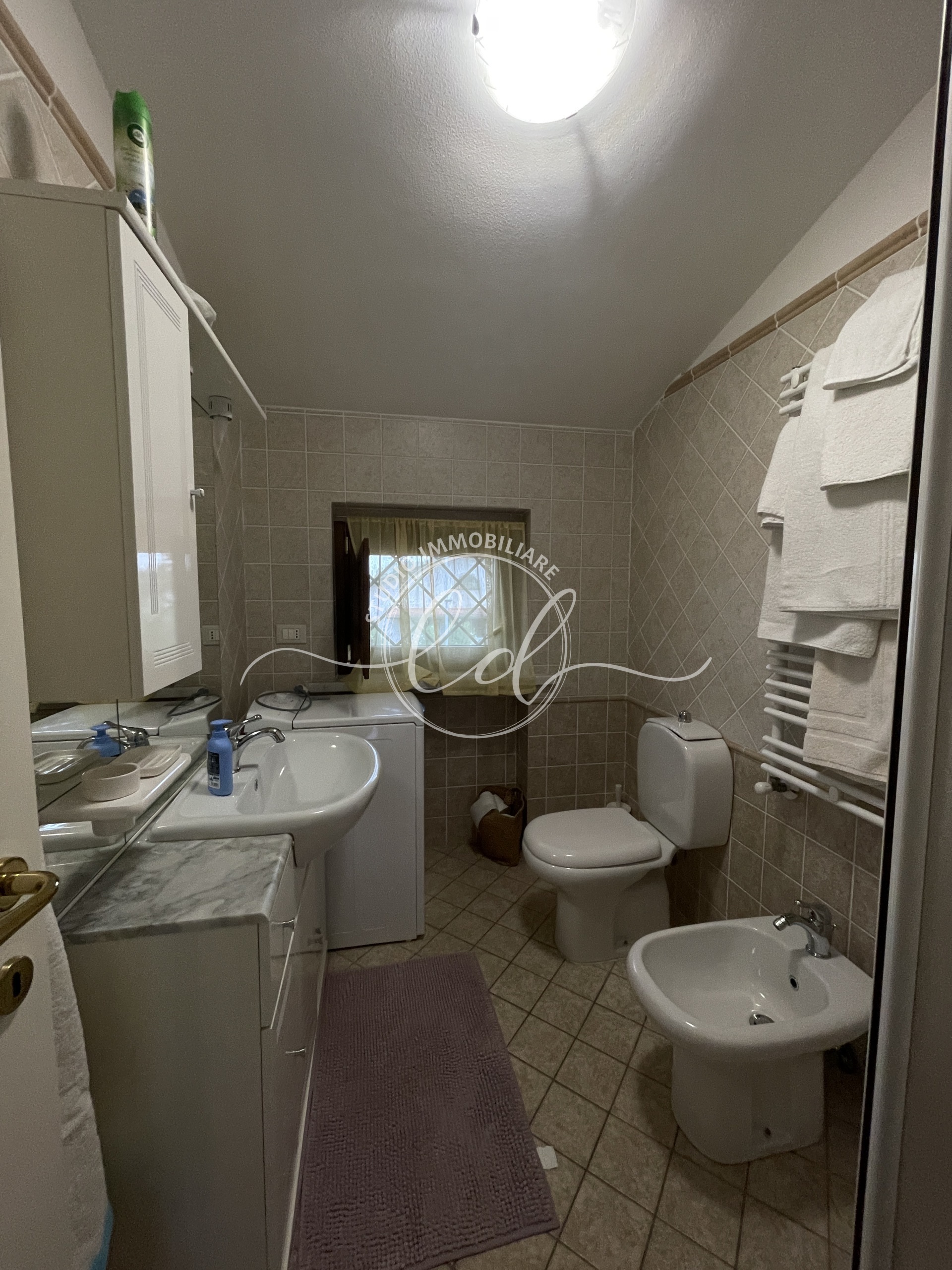 Immagine 14 di Quadrilocale in affitto  a Seravezza