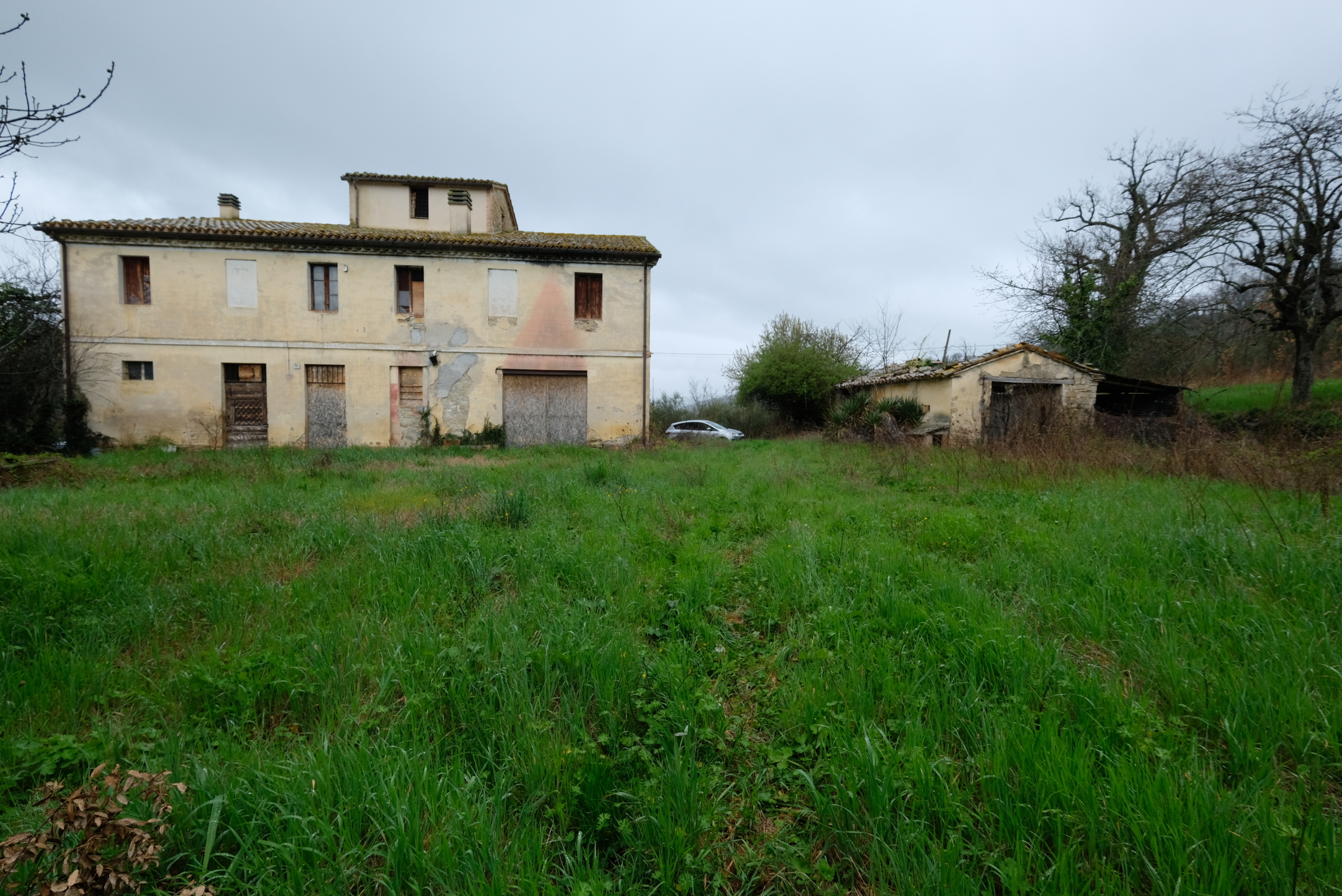 Foto annuncio 1