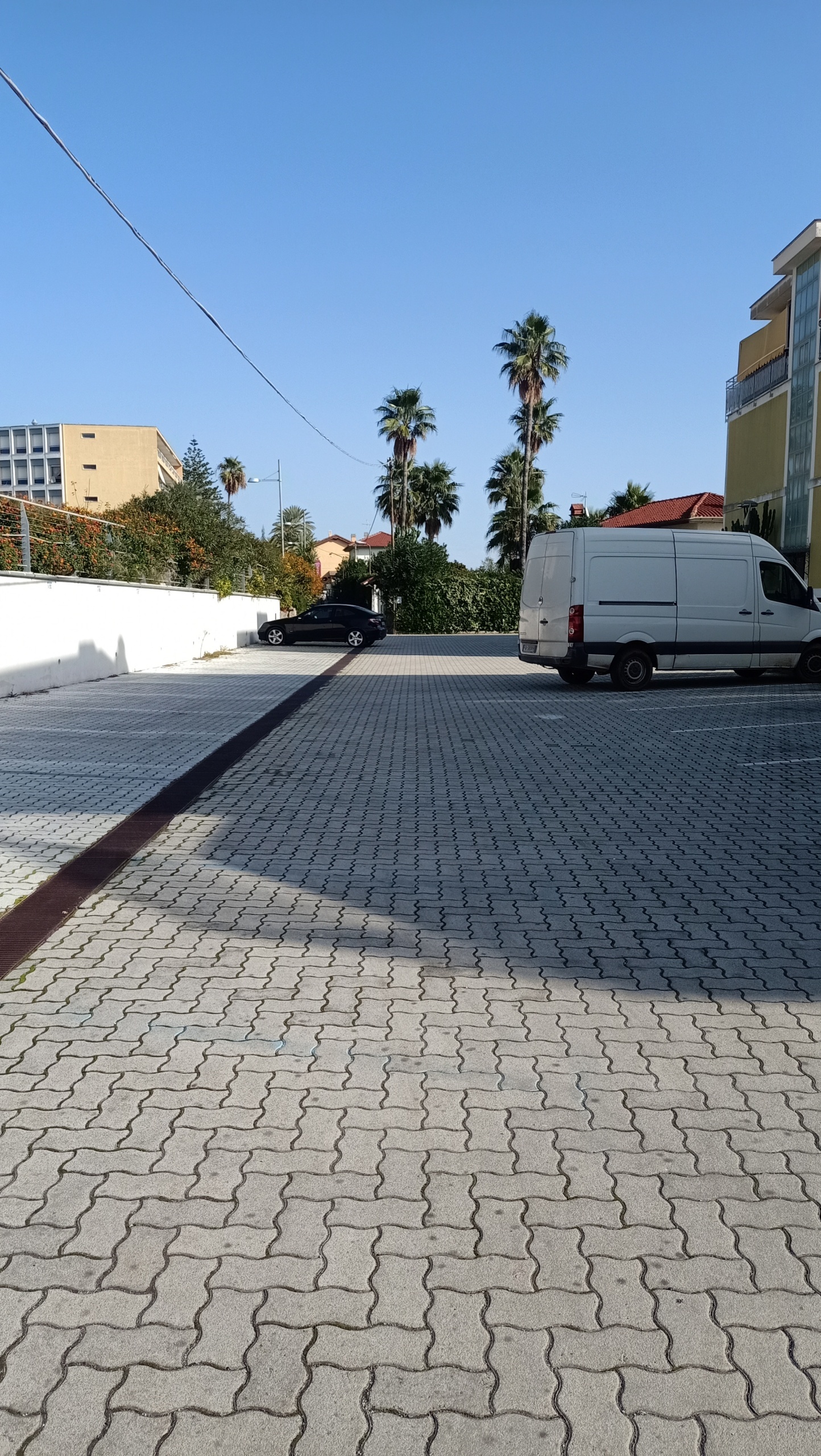 Foto annuncio 14