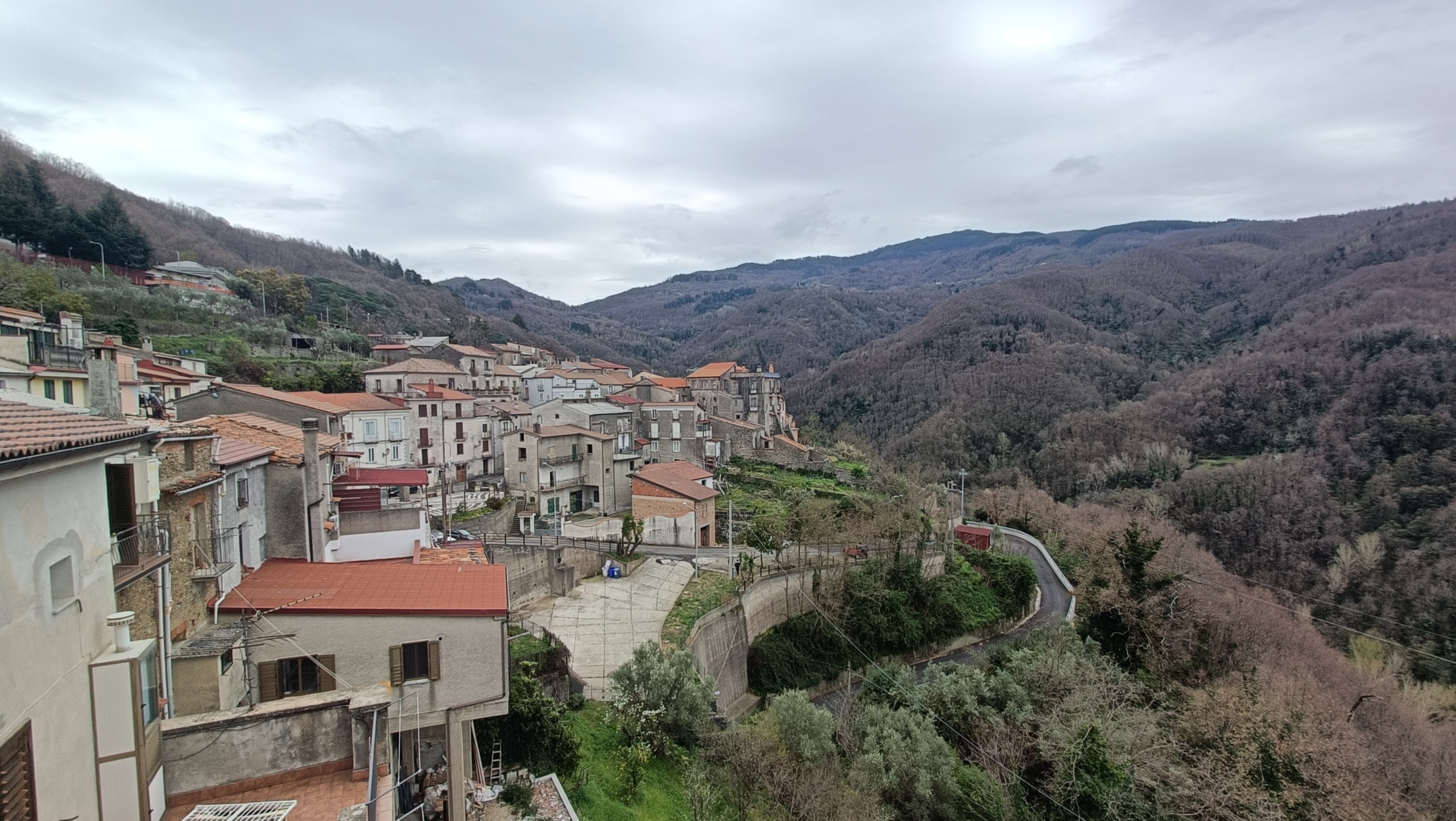 Foto annuncio 2