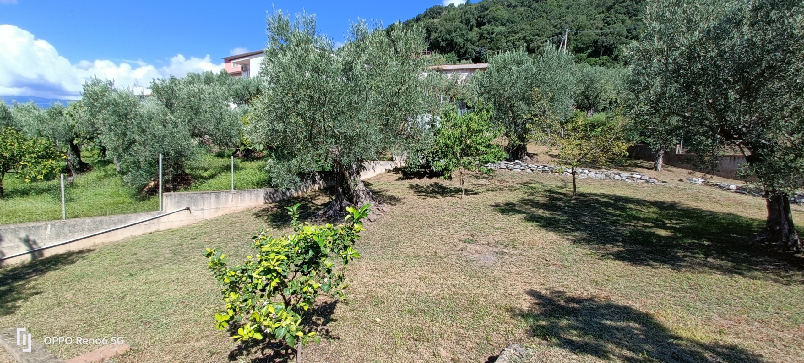 Foto annuncio 19