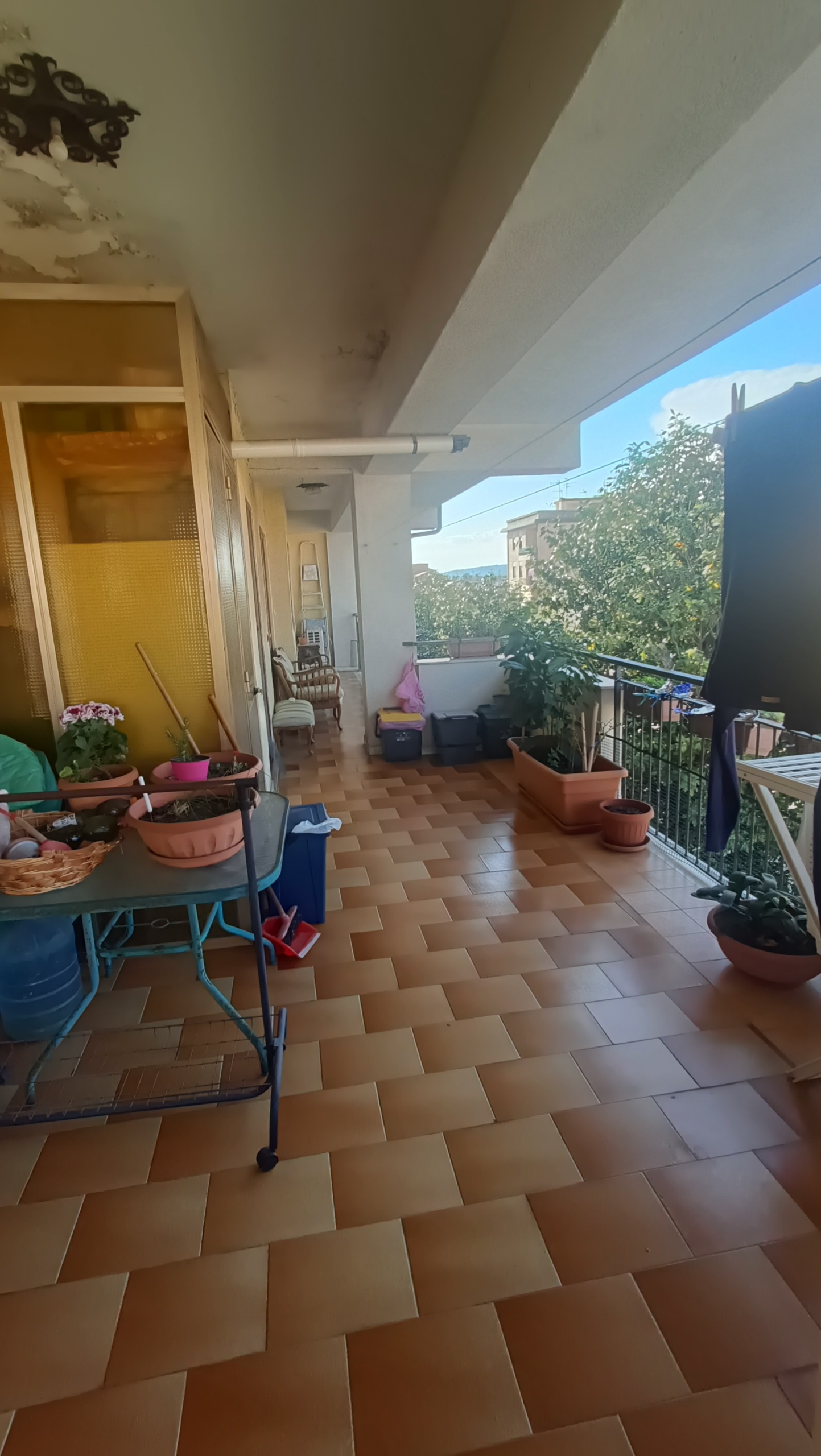 Foto annuncio 18