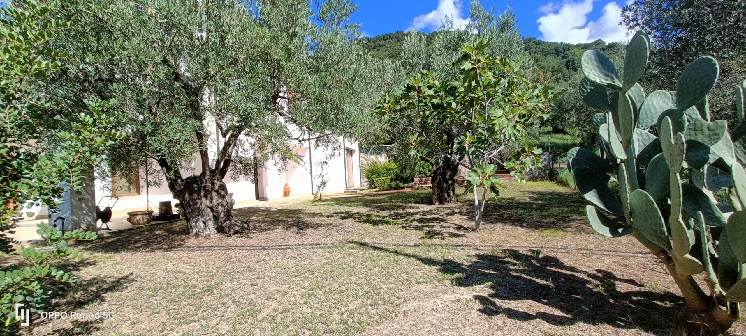 Foto annuncio 18