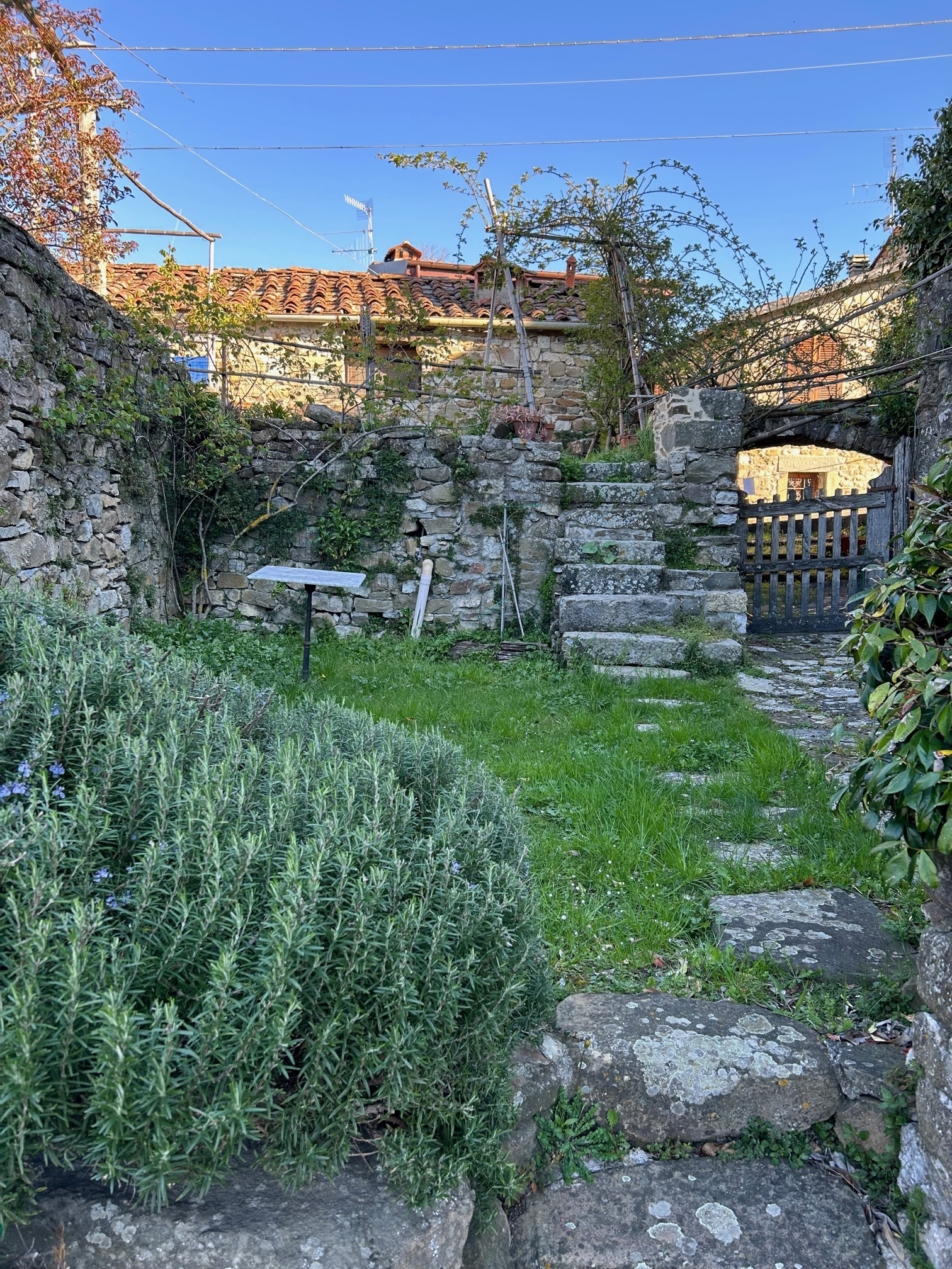 Foto annuncio 25