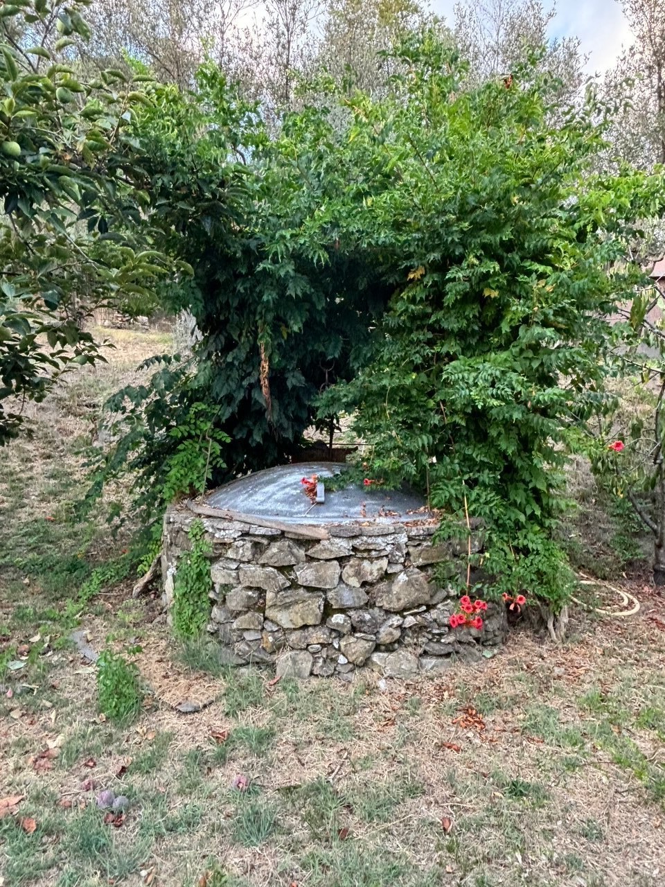 Foto annuncio 42