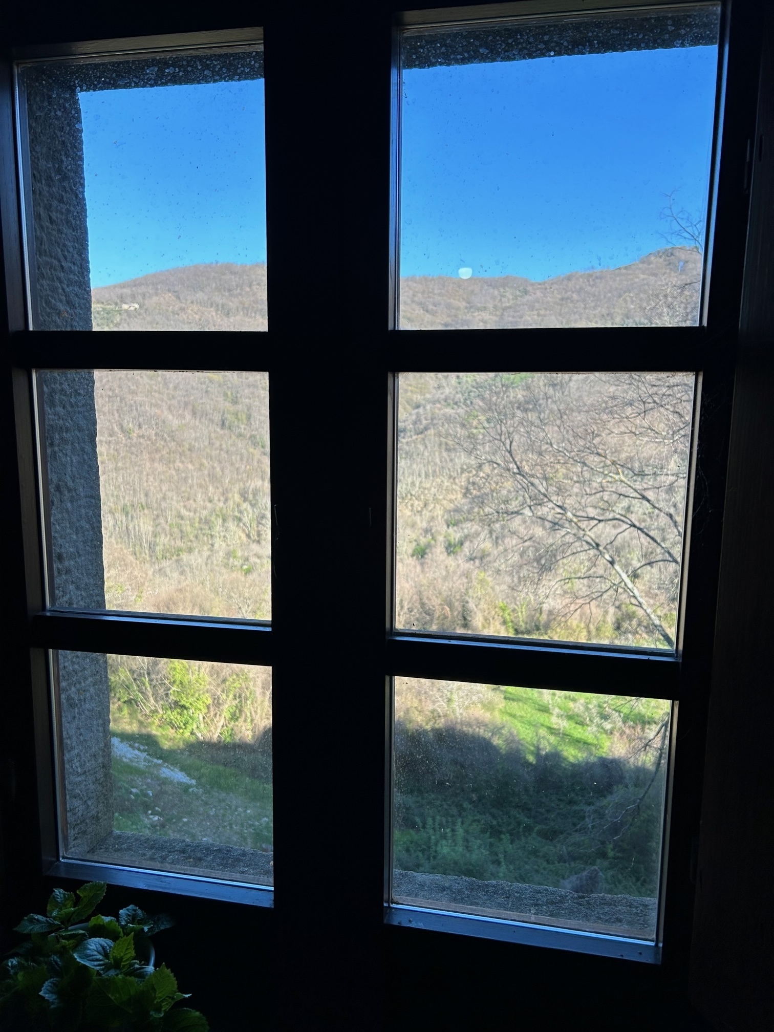 Foto annuncio 15