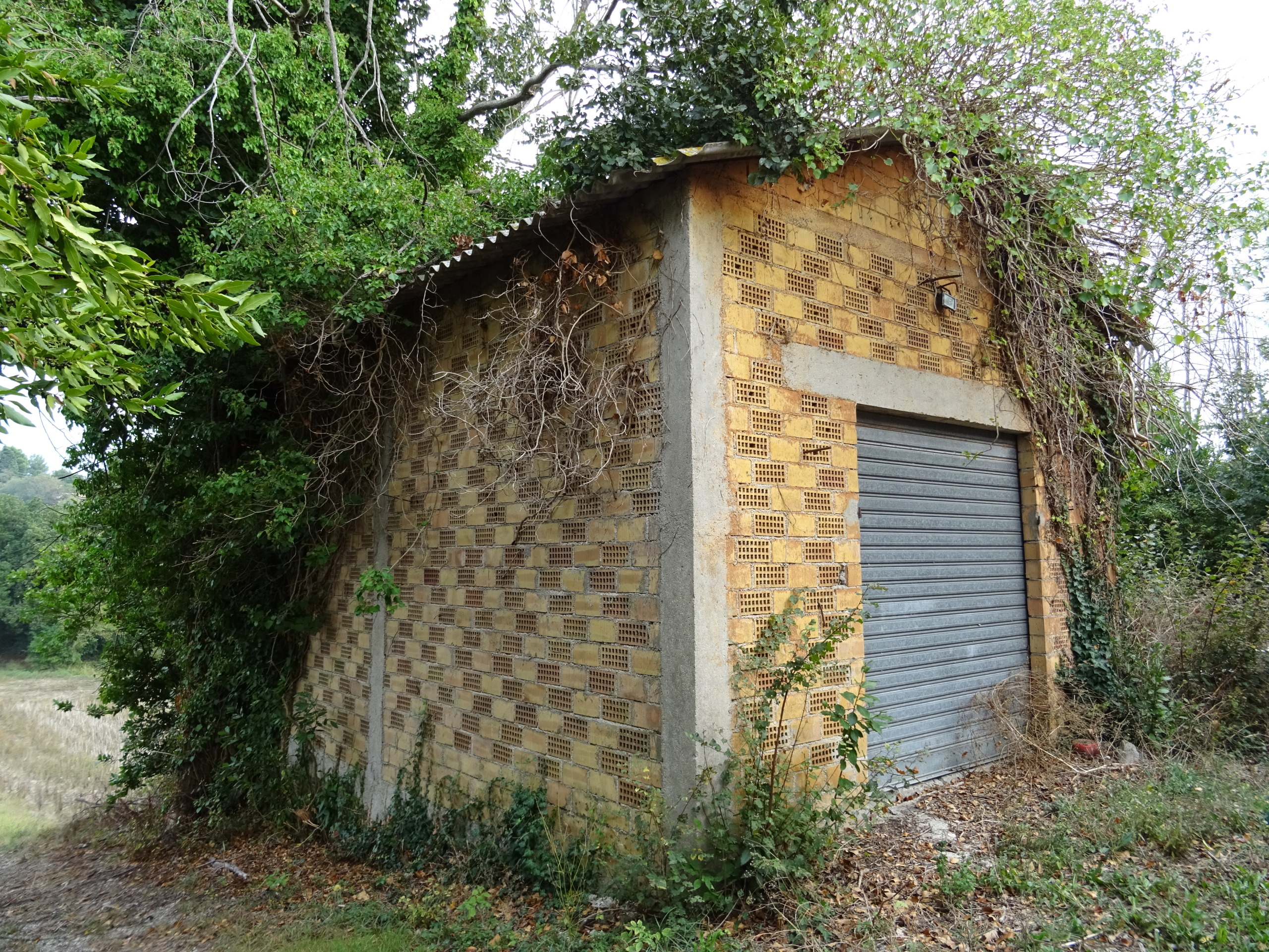 Immagine 6 di Casa indipendente in vendita  a Senigallia