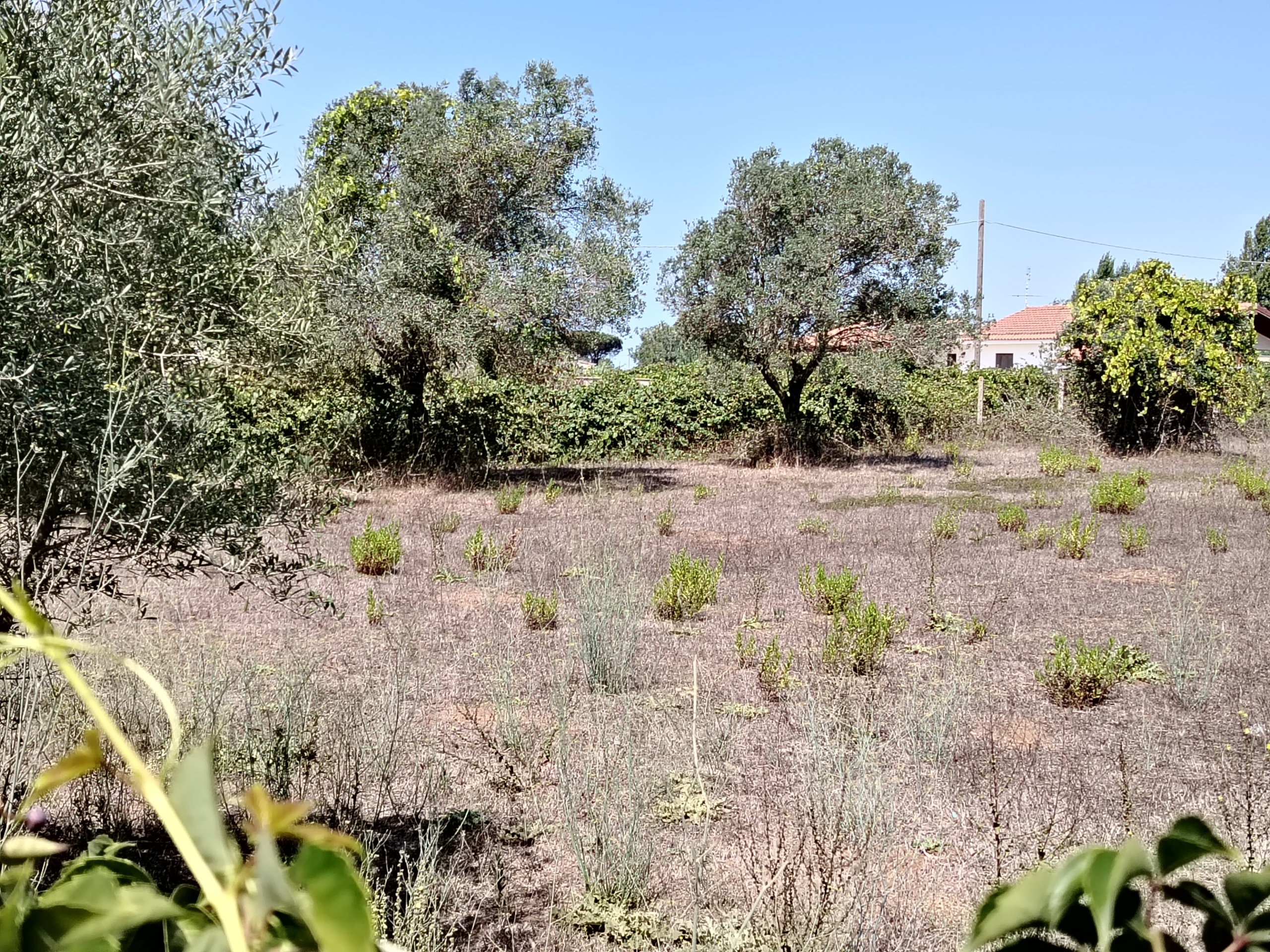 Foto annuncio 5