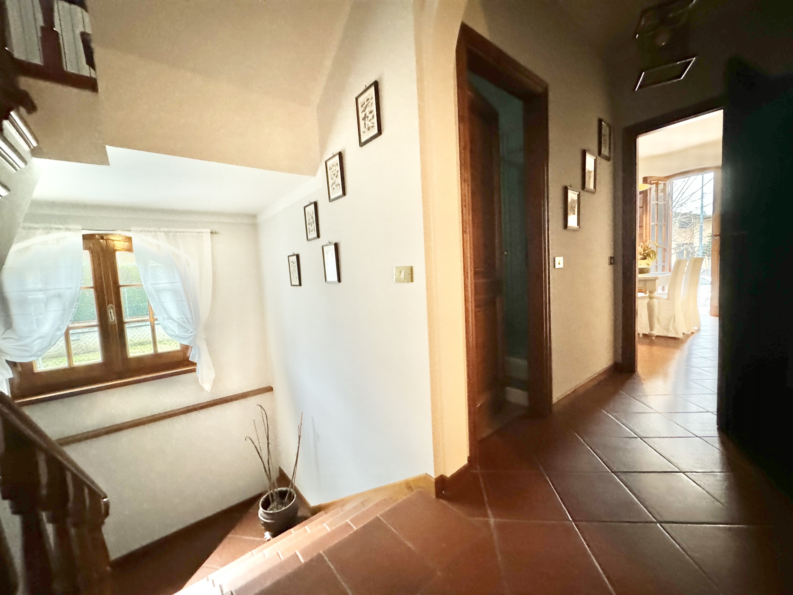Immagine 19 di Villa in affitto  a Pietrasanta