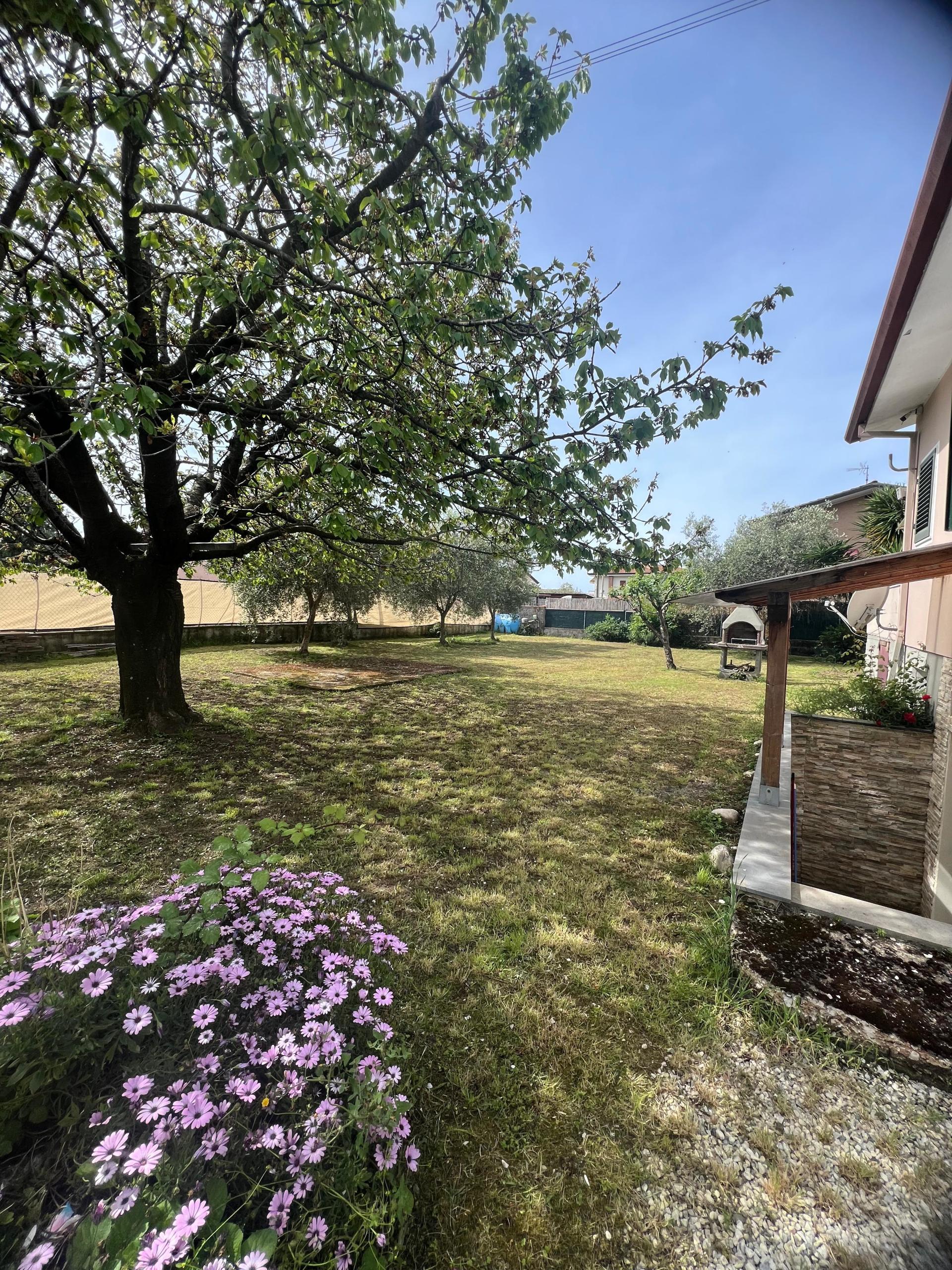 Immagine 5 di Porzione di casa in affitto  a Seravezza