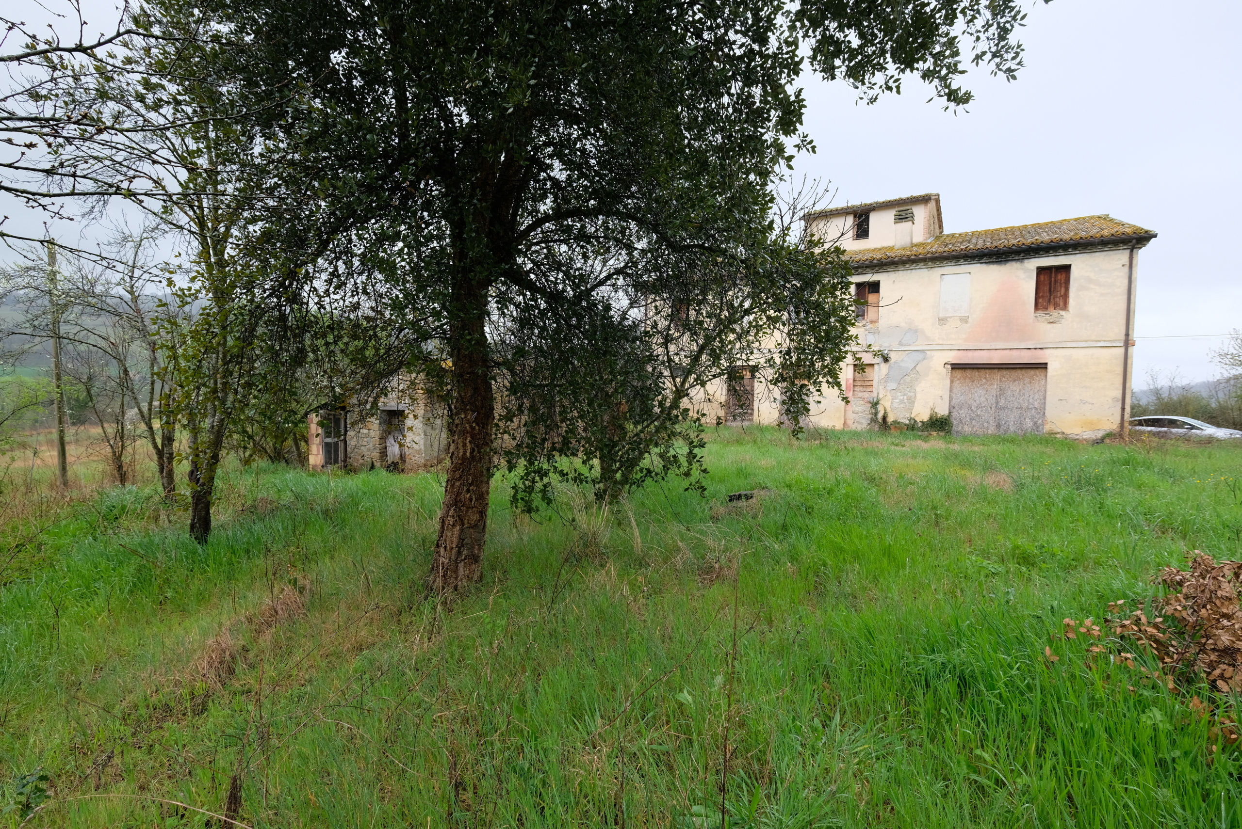 Foto annuncio 5