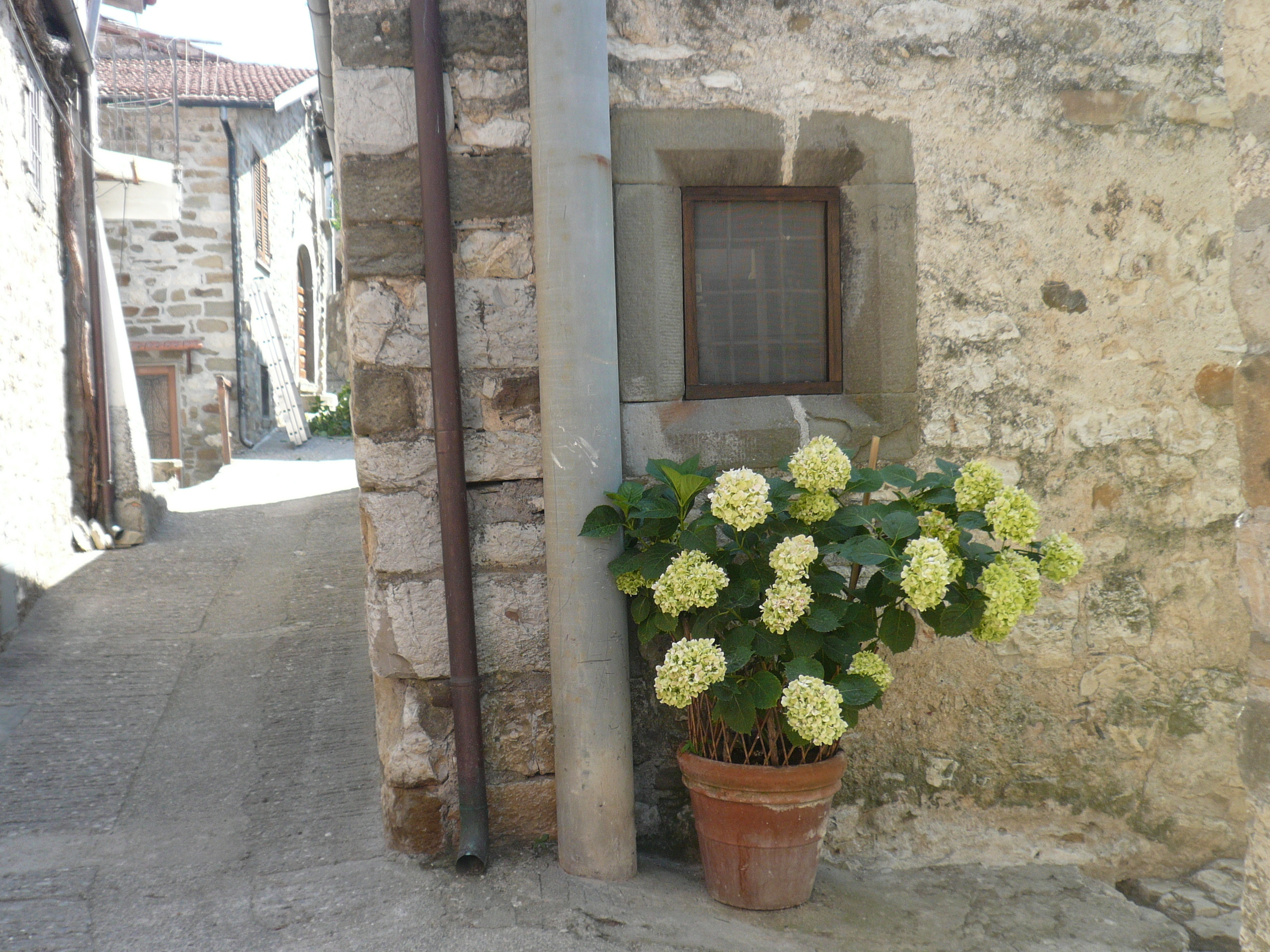 Foto annuncio 9