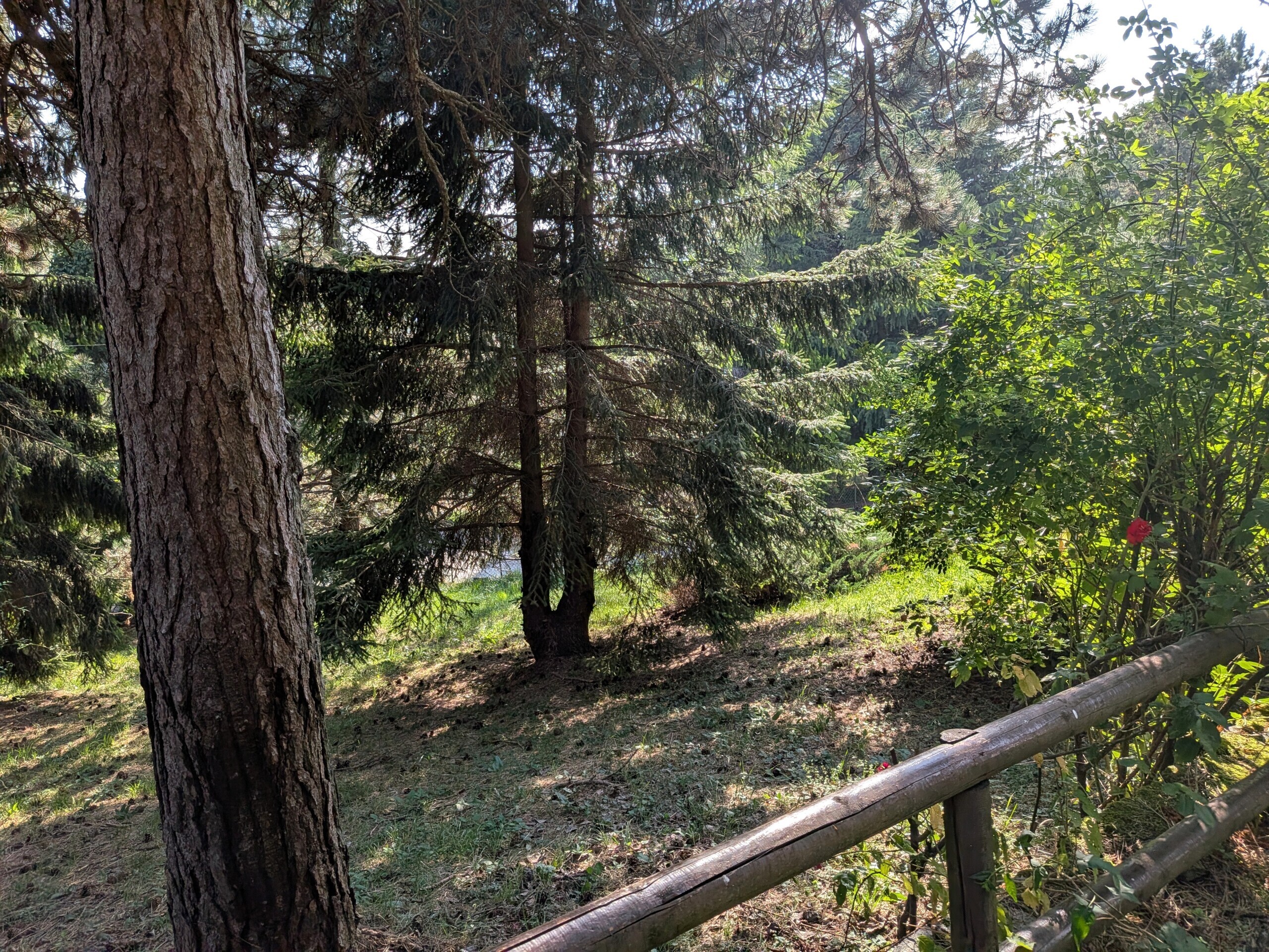 Foto annuncio 31