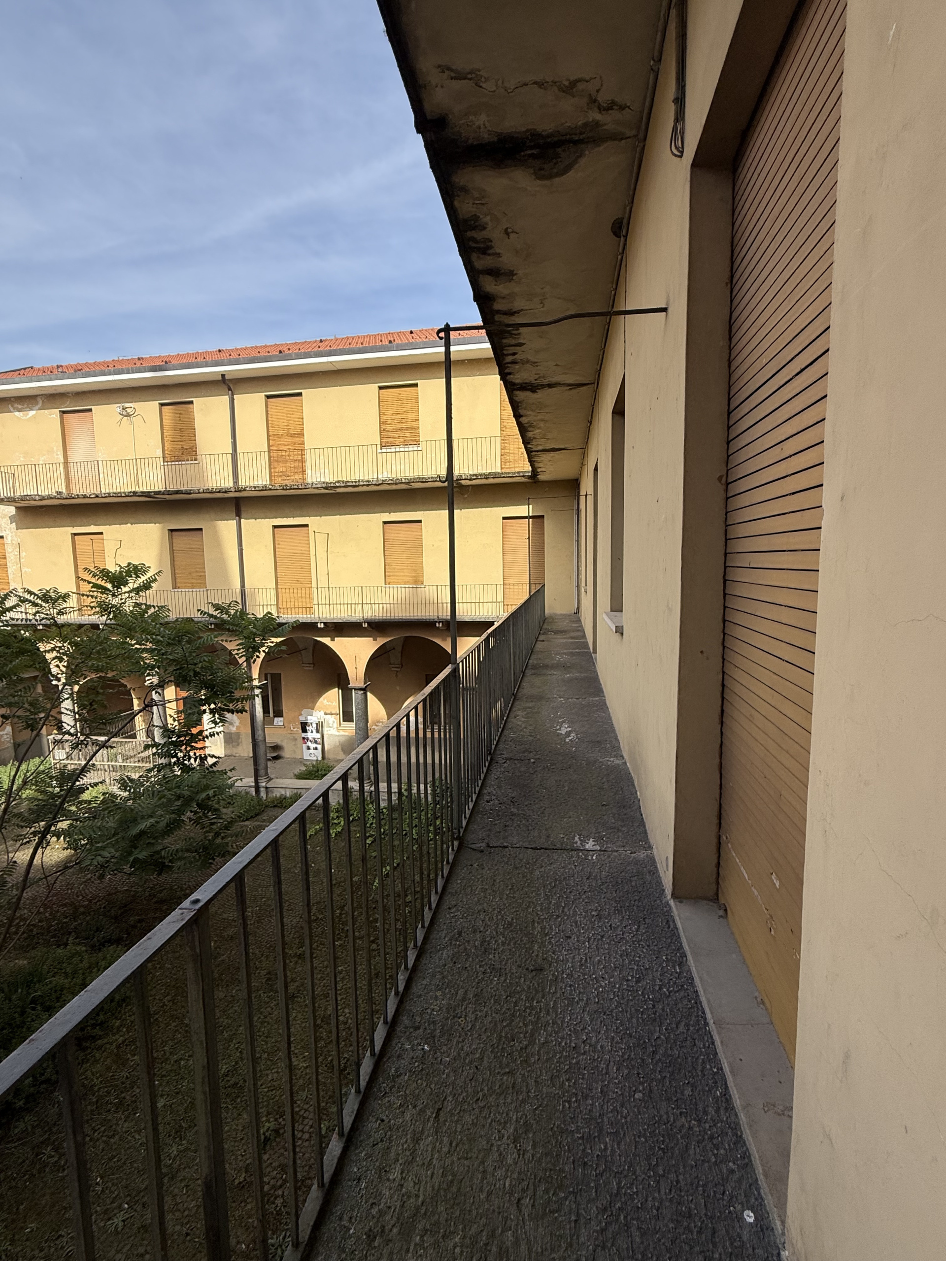 Foto annuncio 10