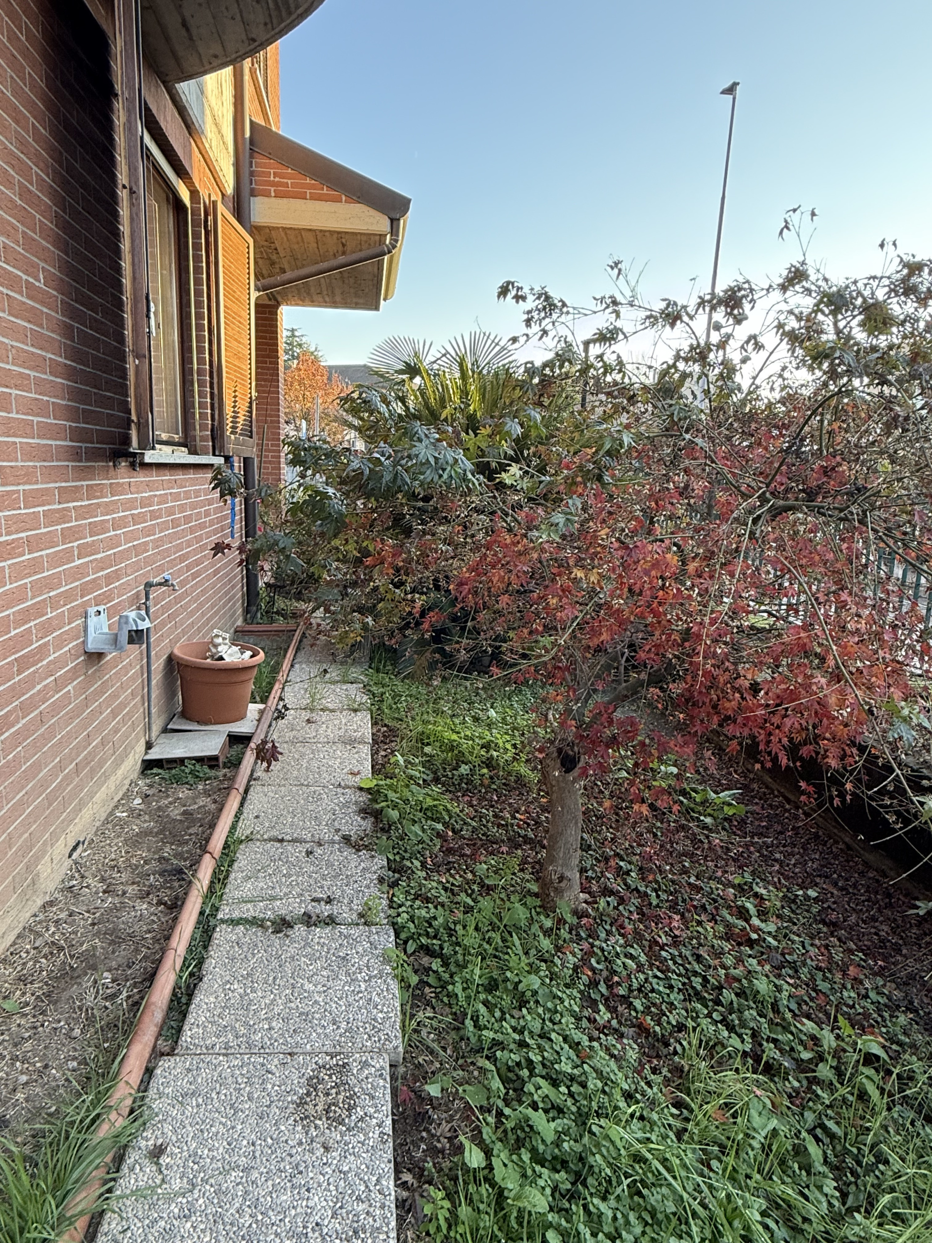 Foto annuncio 50