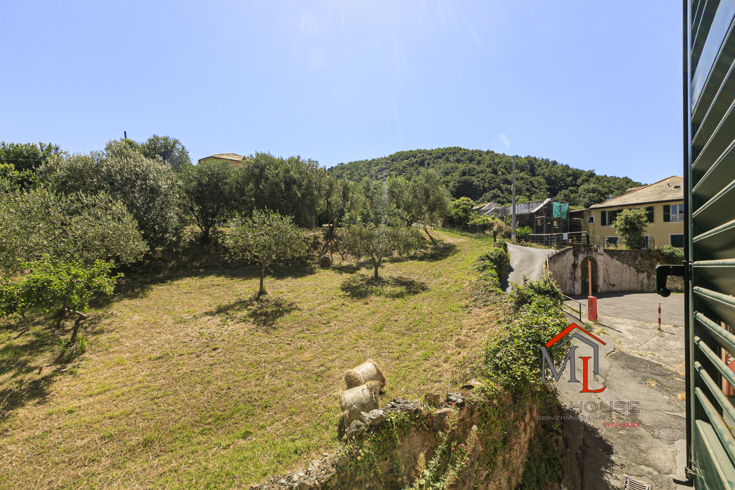 Foto annuncio 19